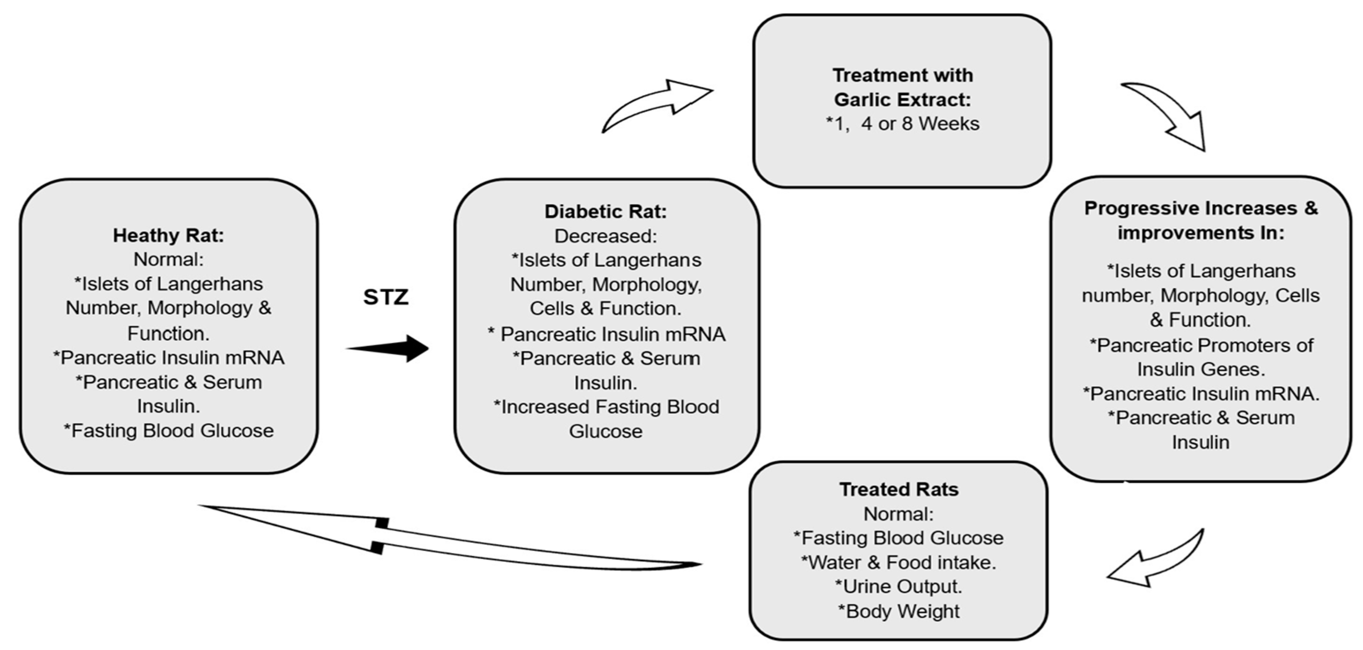 Biology 13 00355 g006 Biology 13 00355 g006
