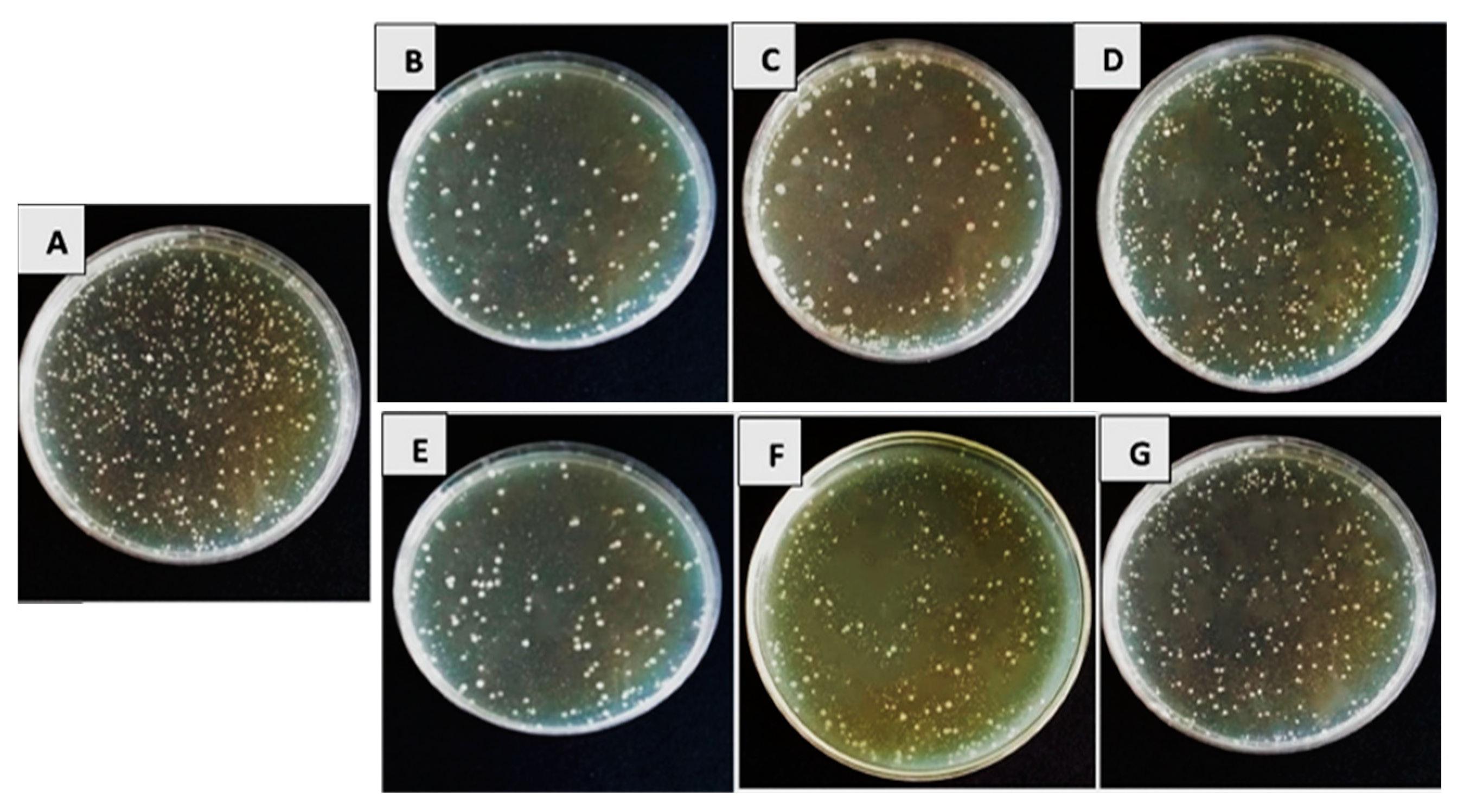 Biology 13 00369 g002