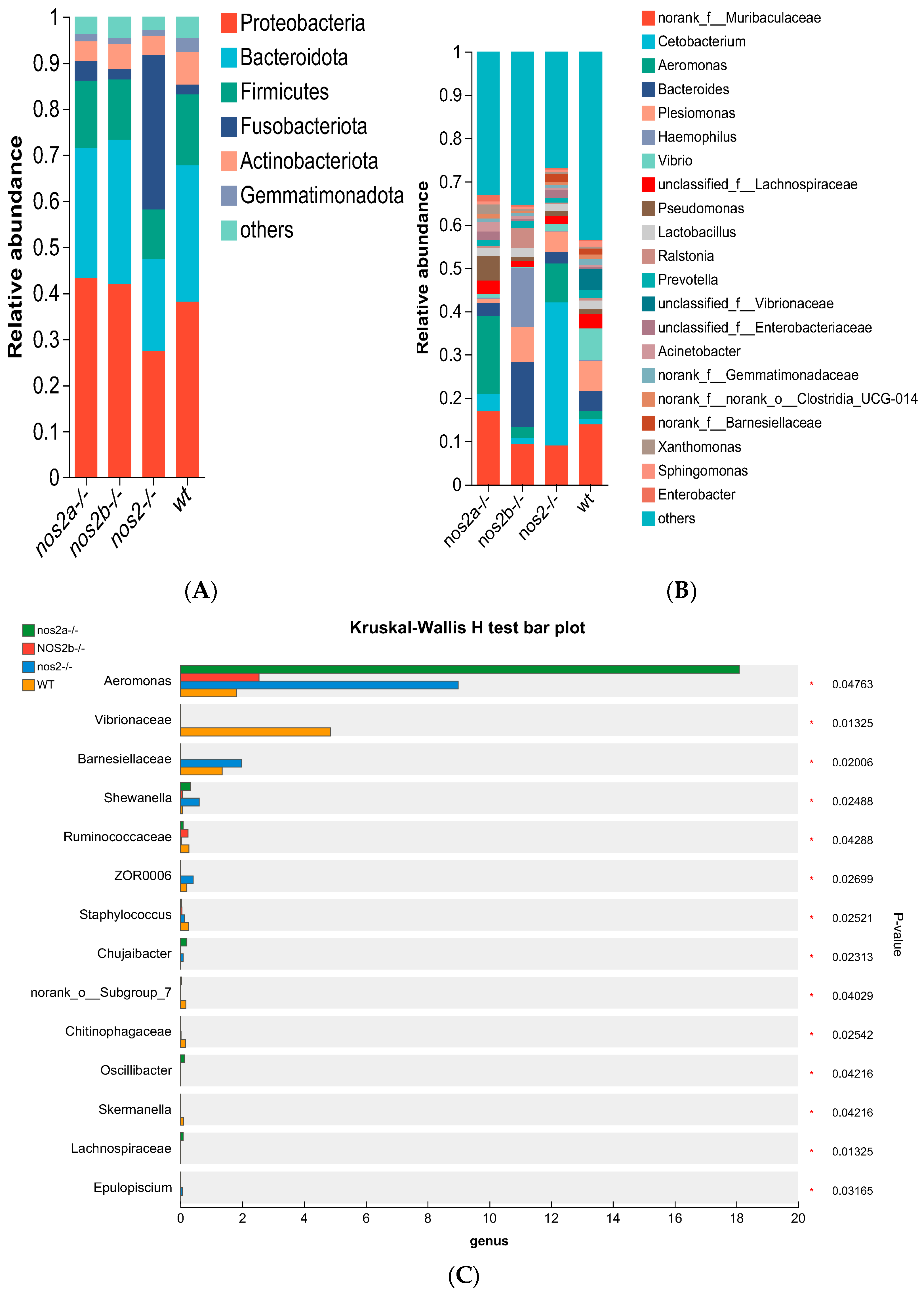 Biology 13 00372 g003a