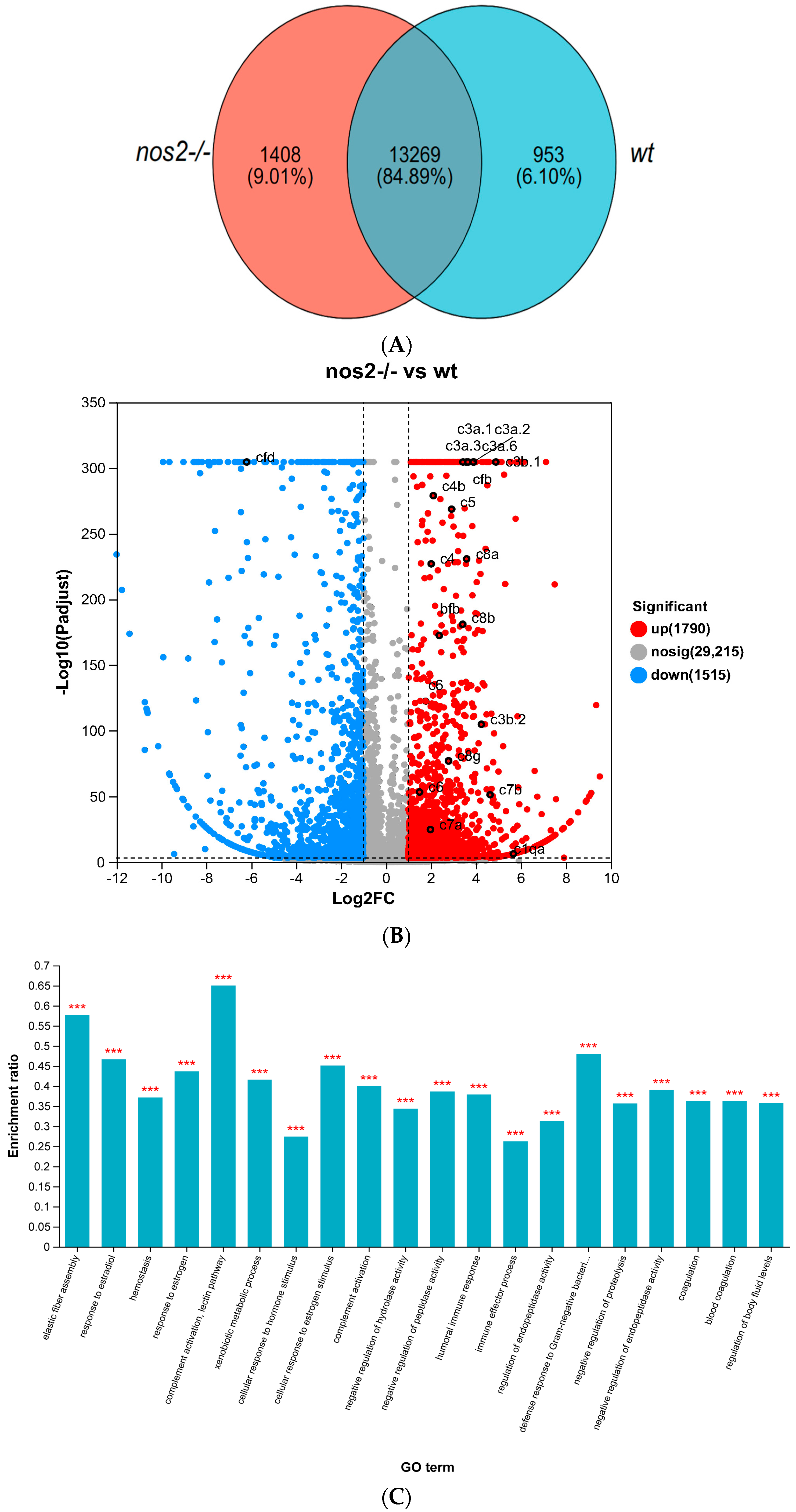 Biology 13 00372 g005a