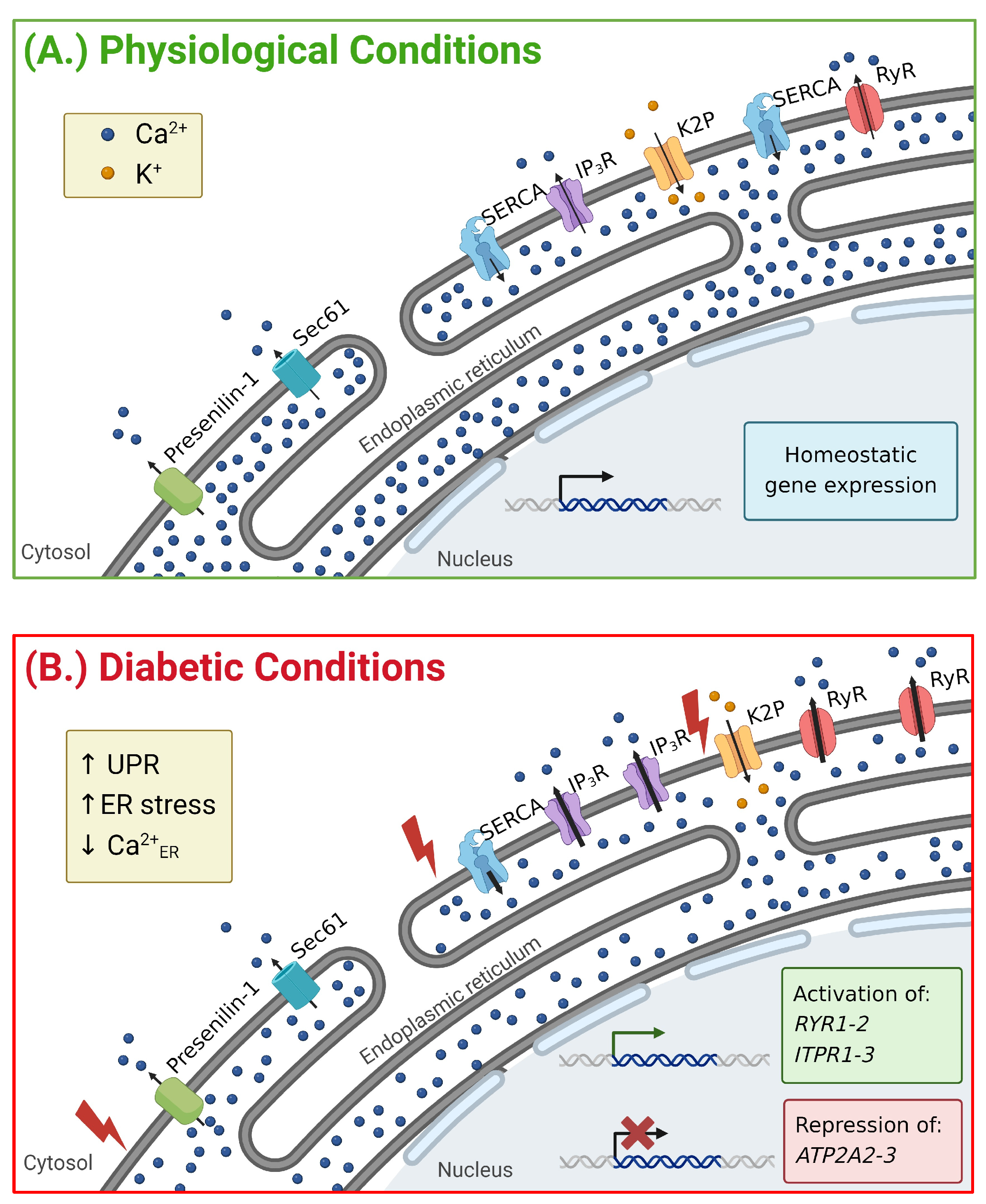 Biology 13 00379 g002