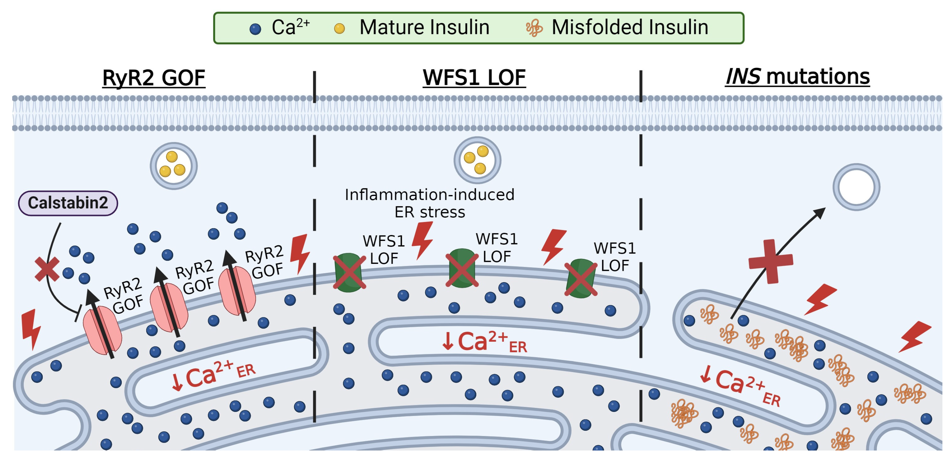 Biology 13 00379 g003