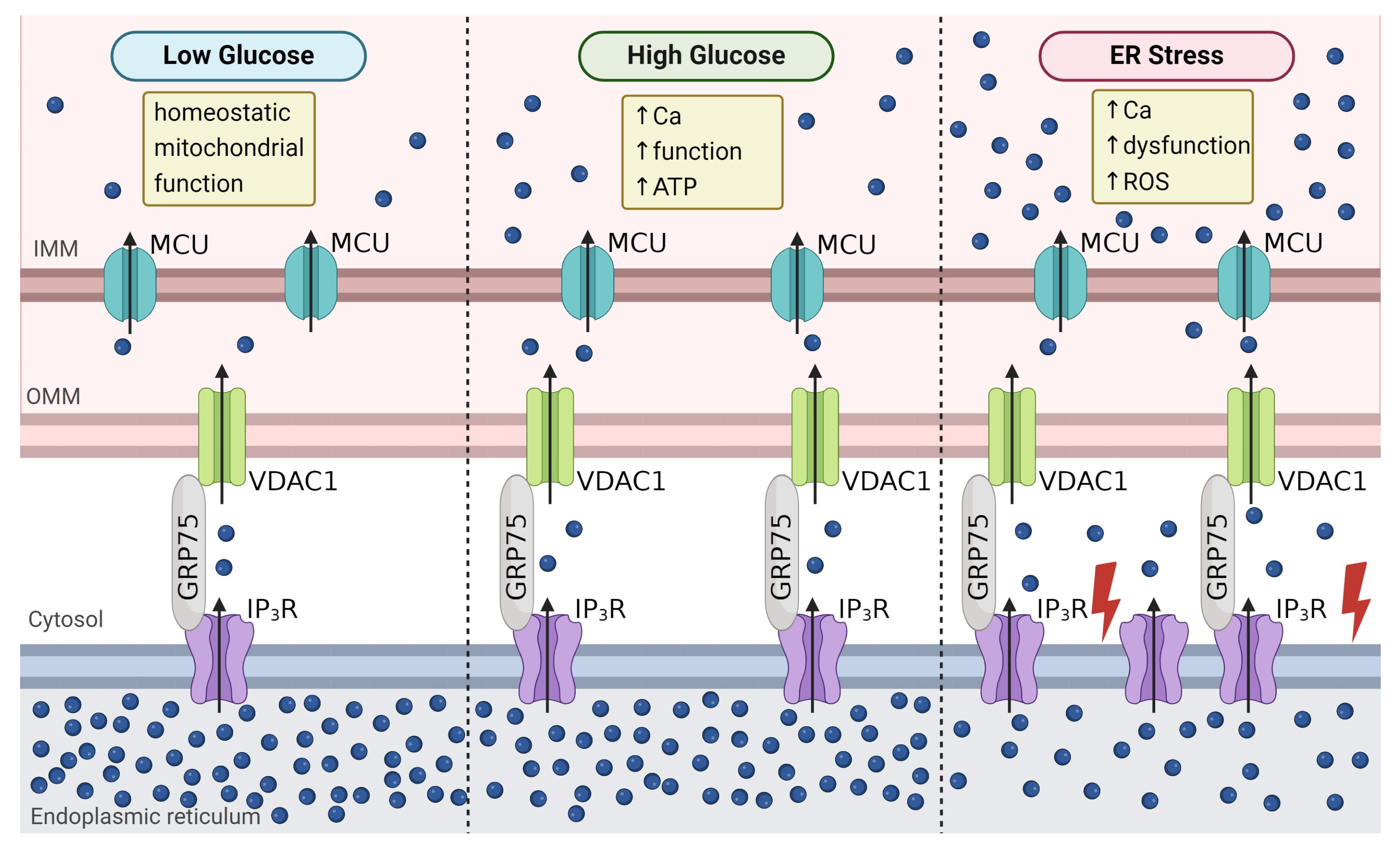 Biology 13 00379 g004