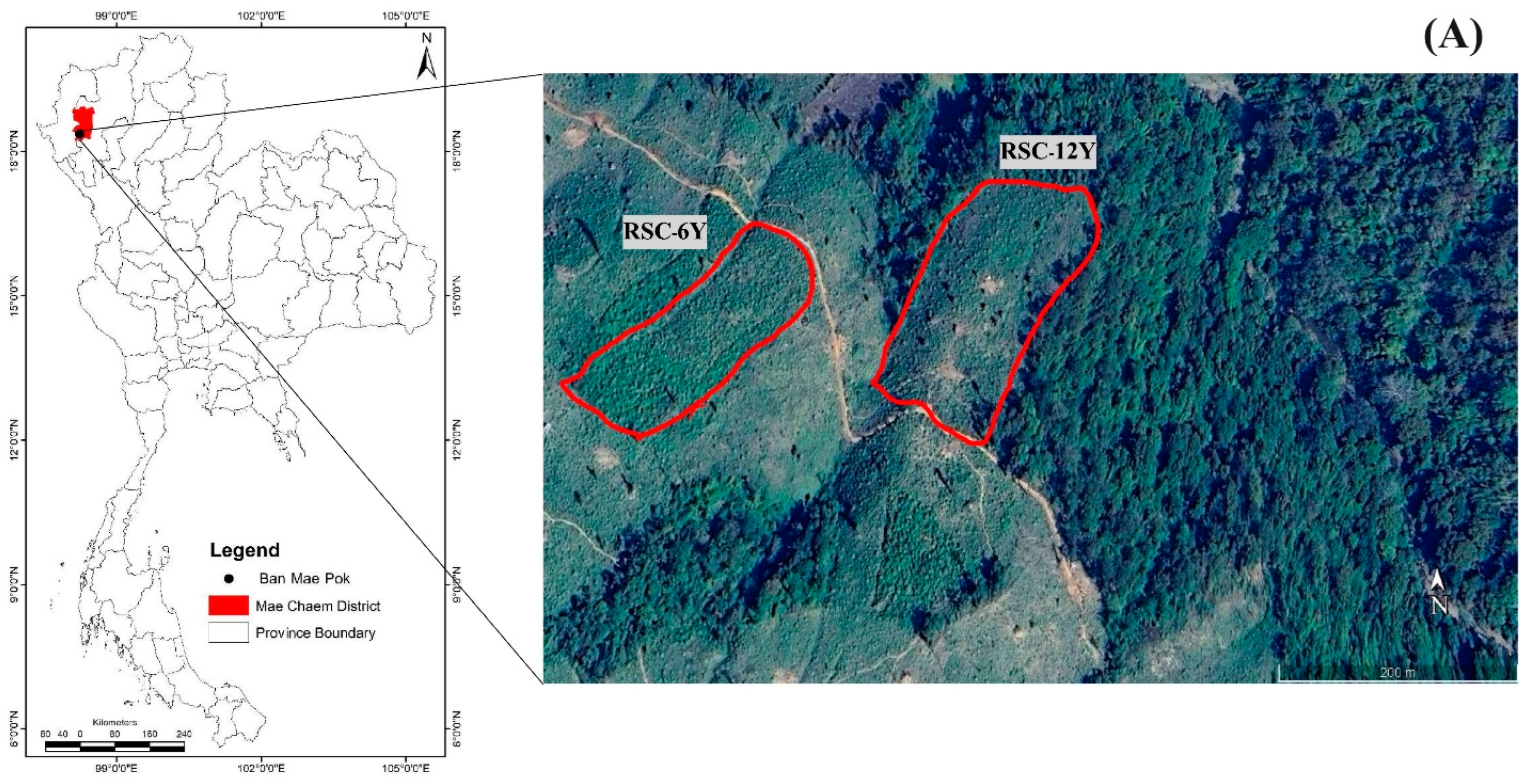 Biology 13 00383 g001a