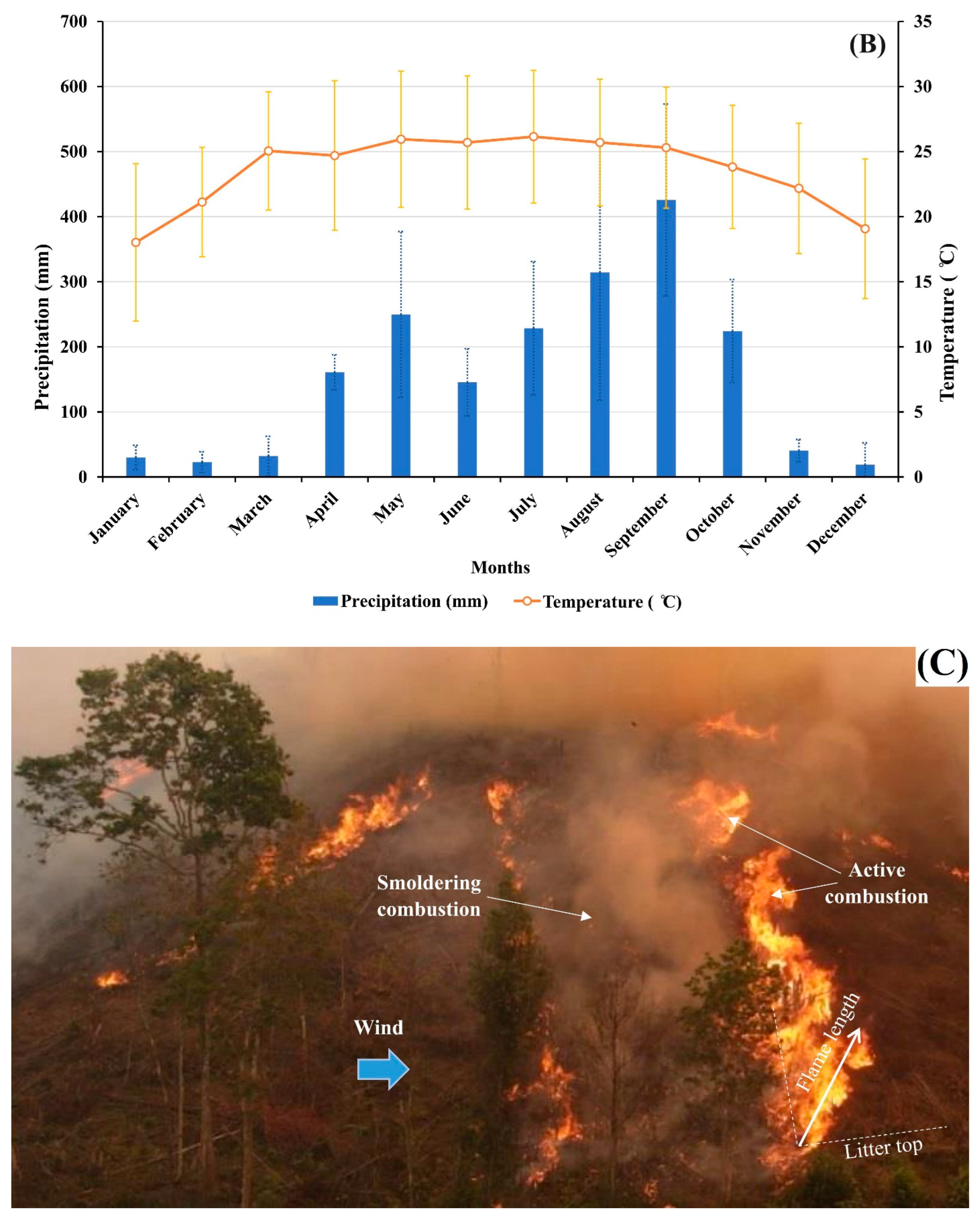 Biology 13 00383 g001b