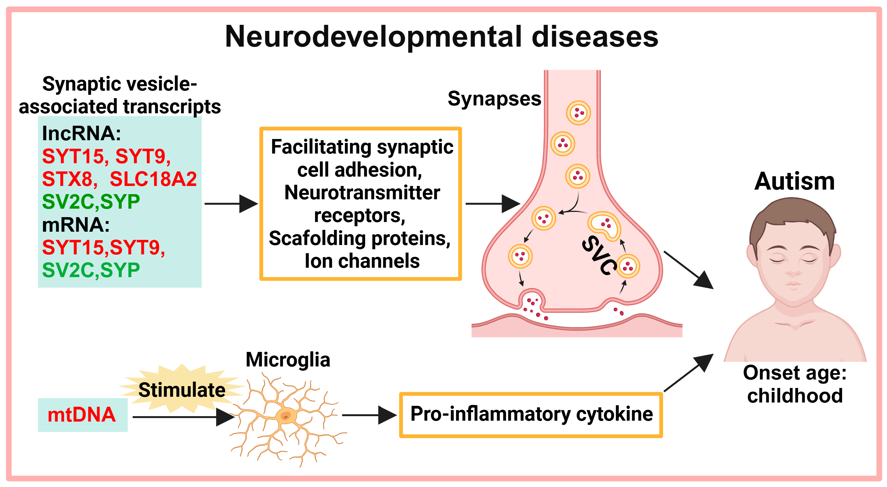 Biology 13 00387 g001