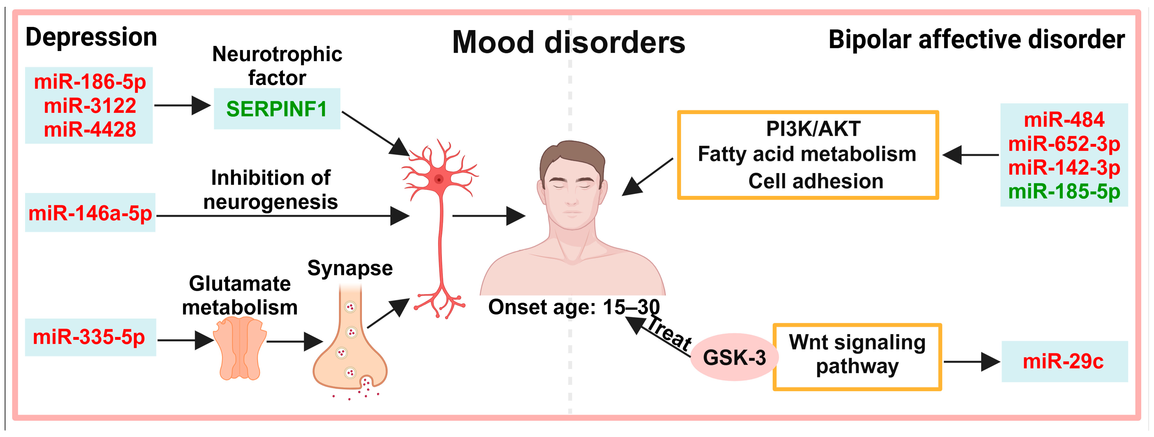 Biology 13 00387 g003