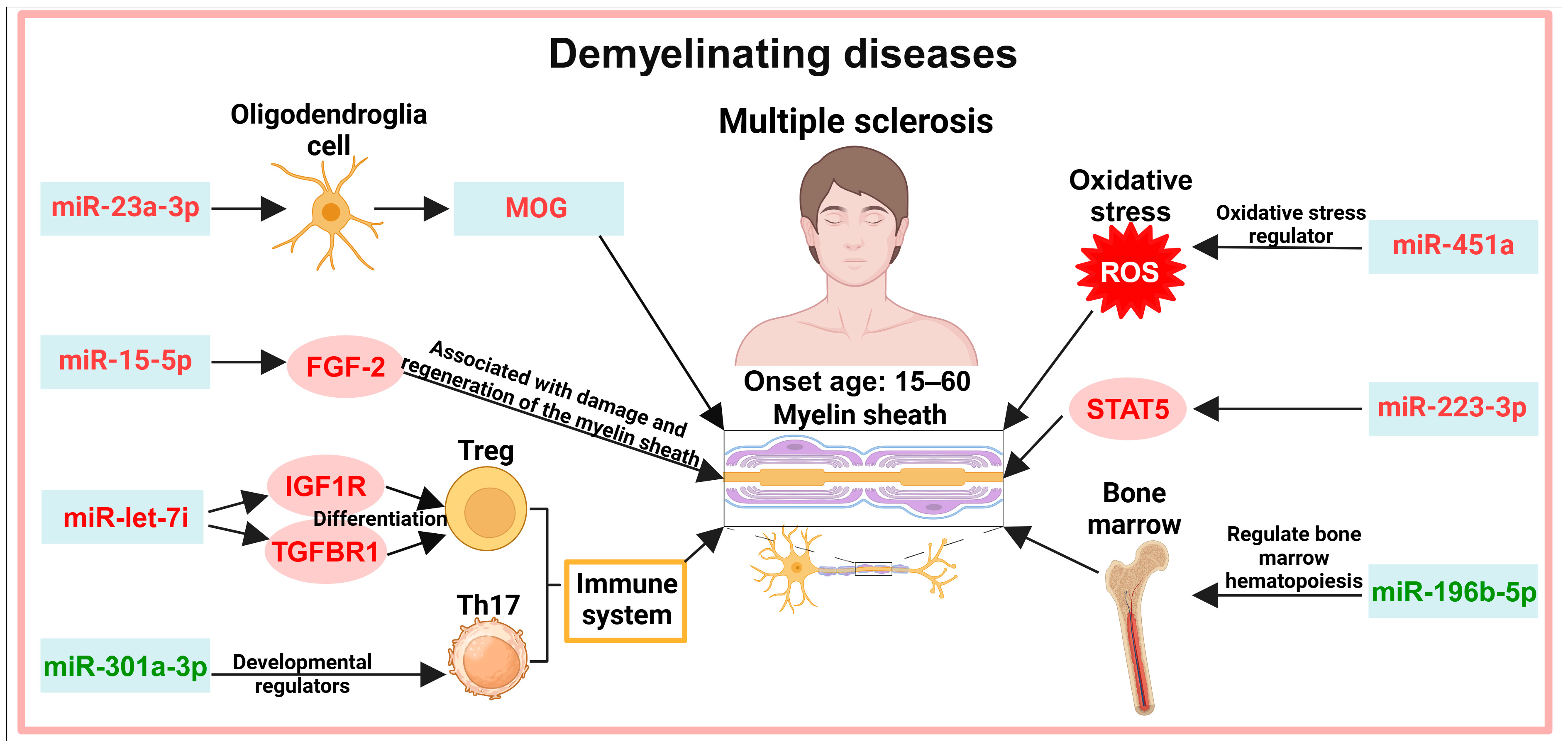 Biology 13 00387 g004