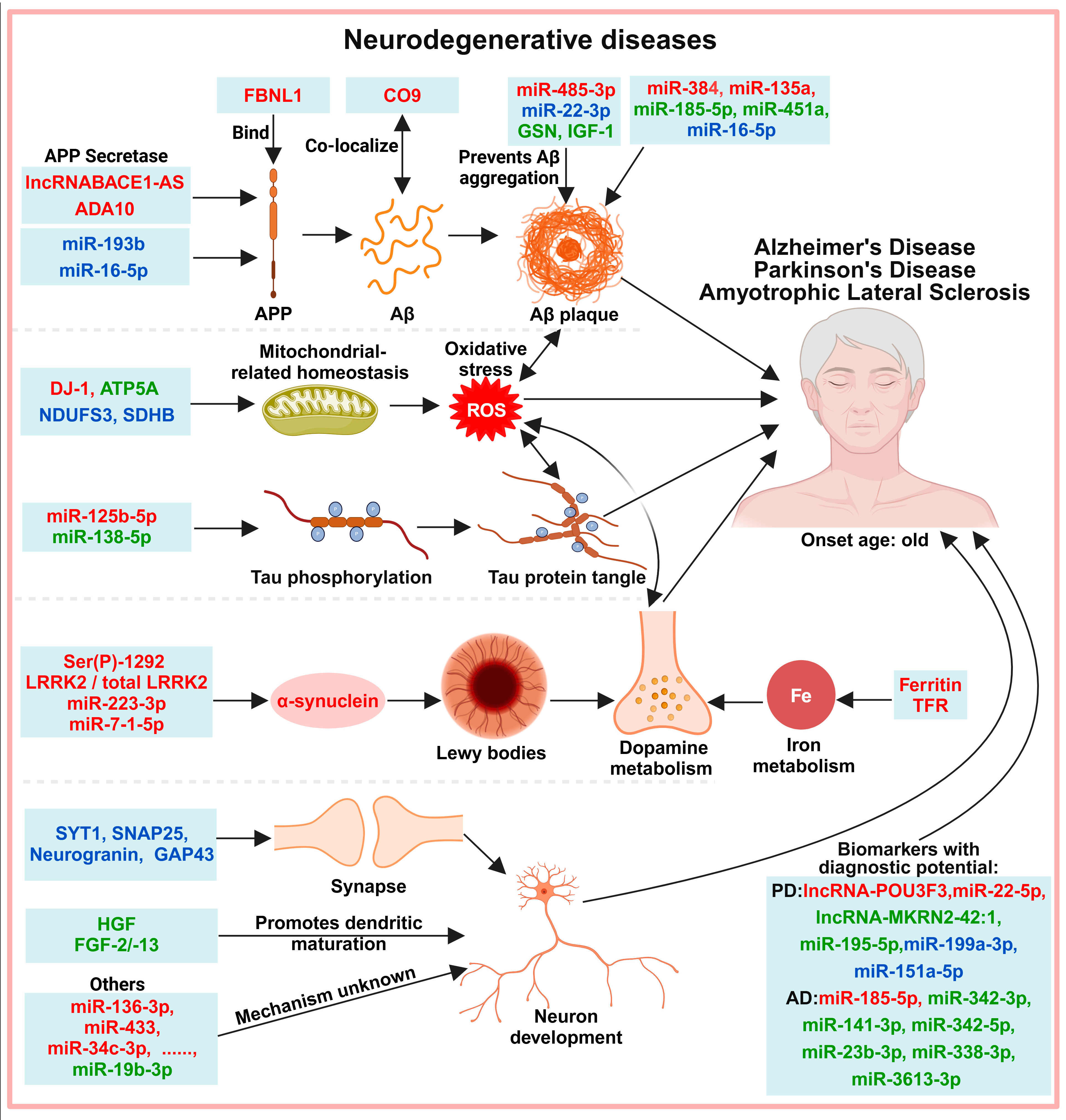 Biology 13 00387 g005