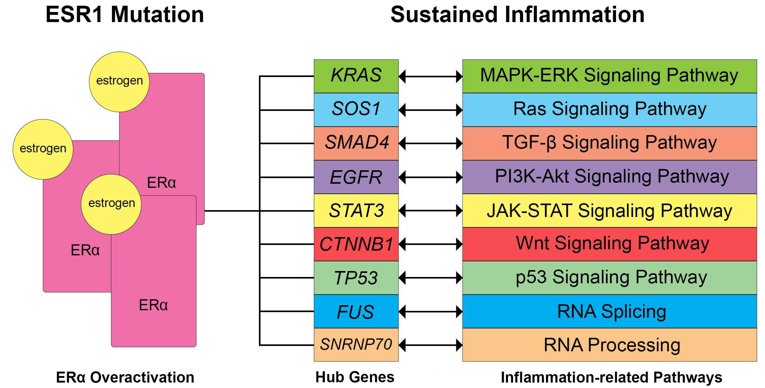 Biology 13 00397 g007
