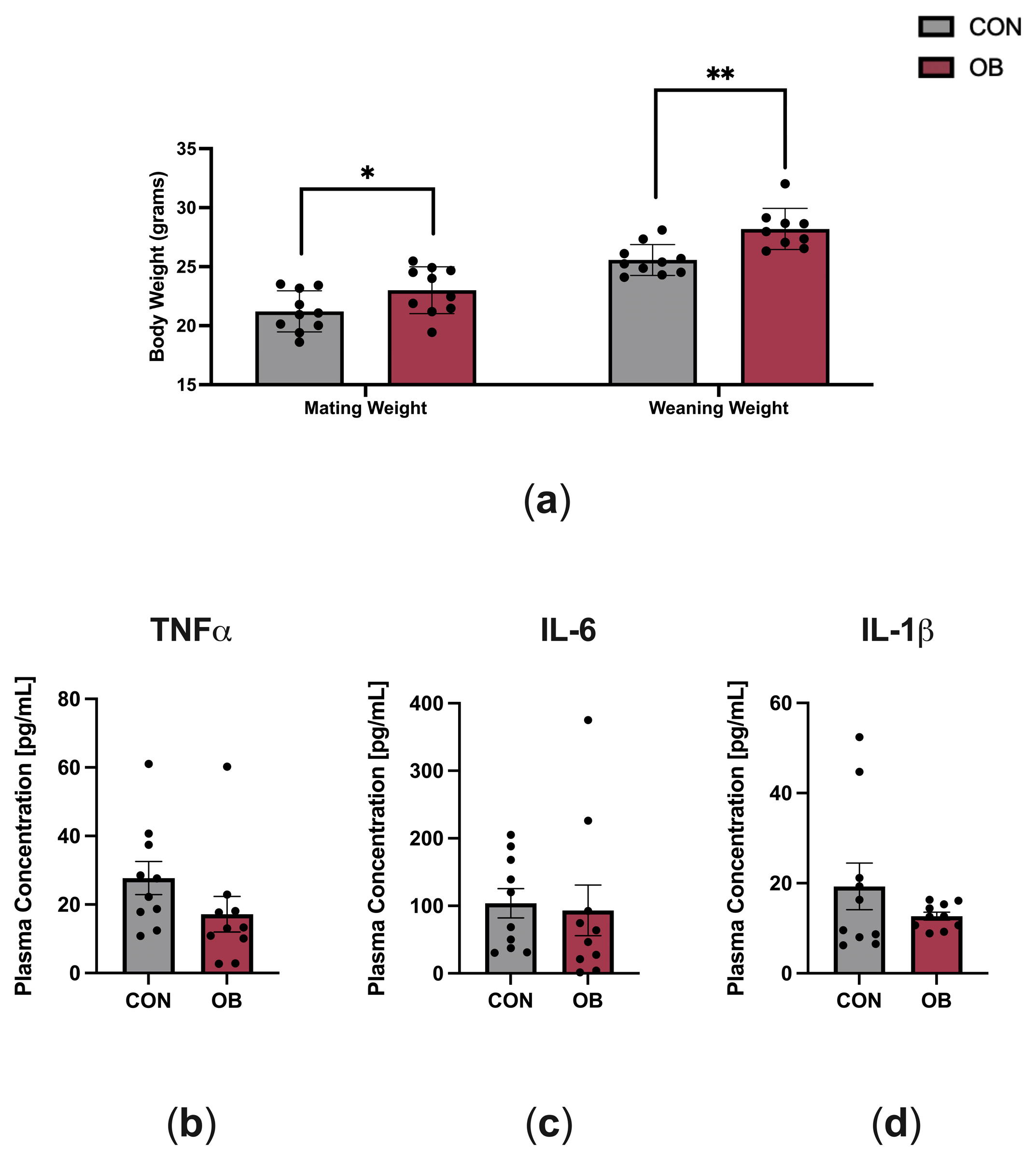 Biology 13 00399 g001
