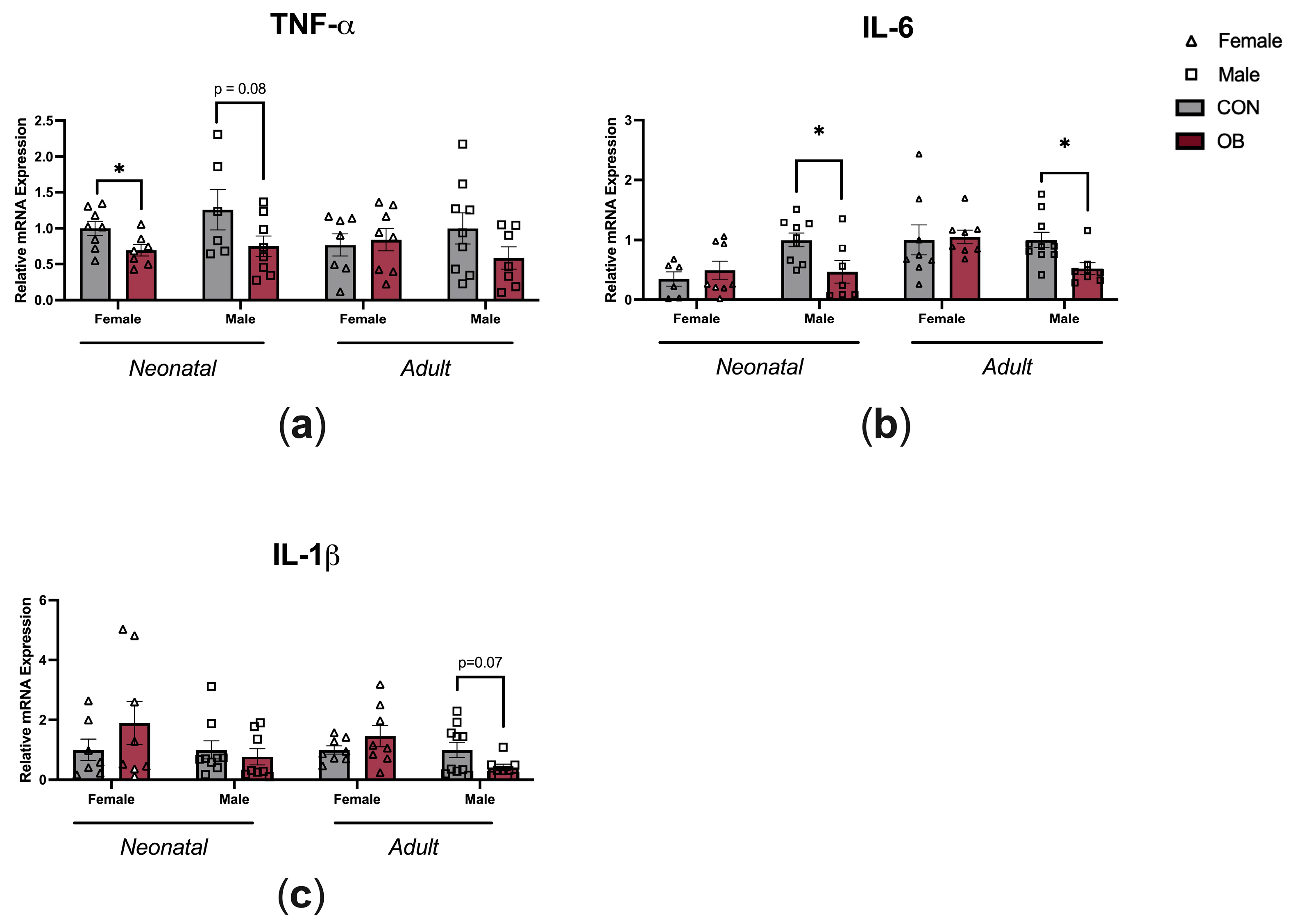 Biology 13 00399 g004