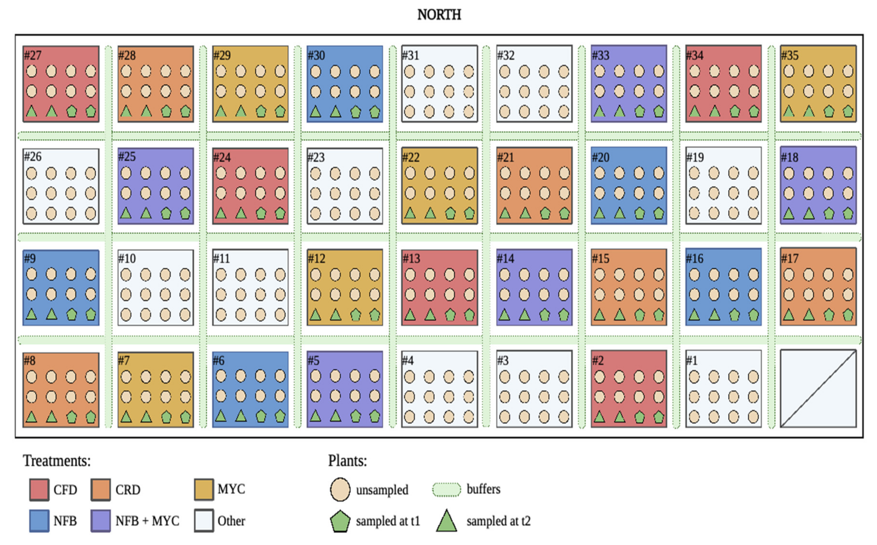 Biology 13 00400 g001