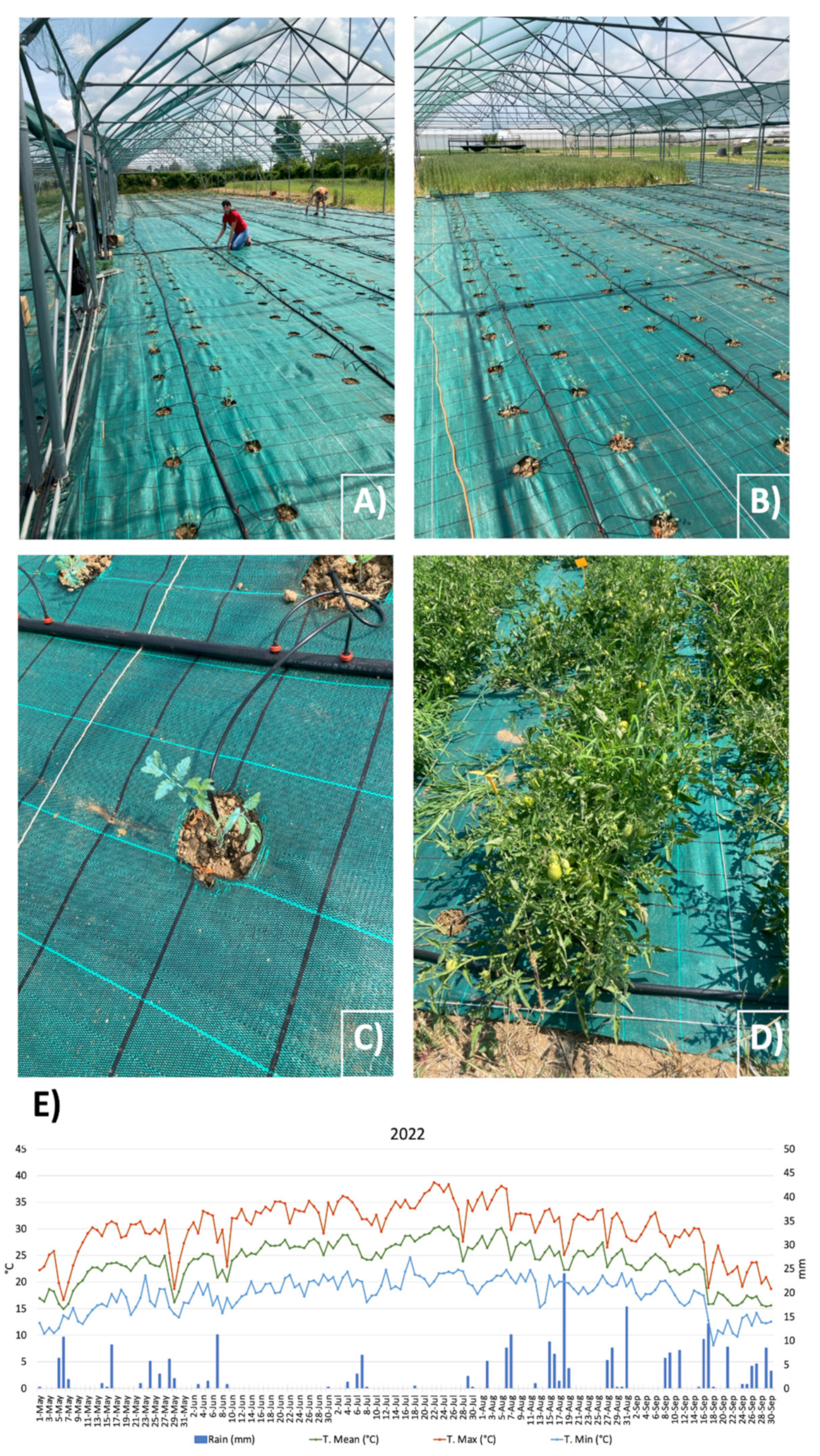 Biology 13 00400 g002