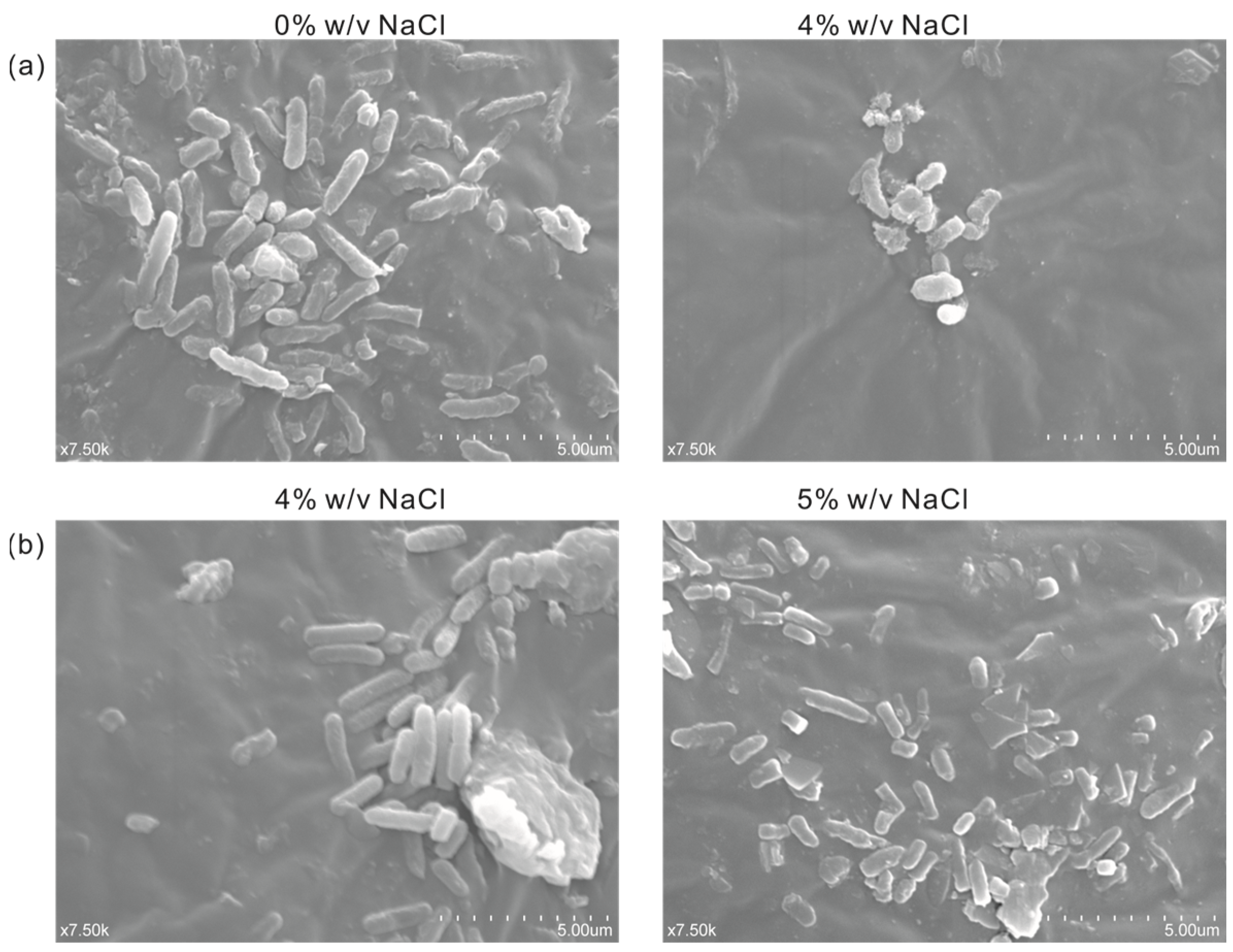 Biology 13 00404 g007