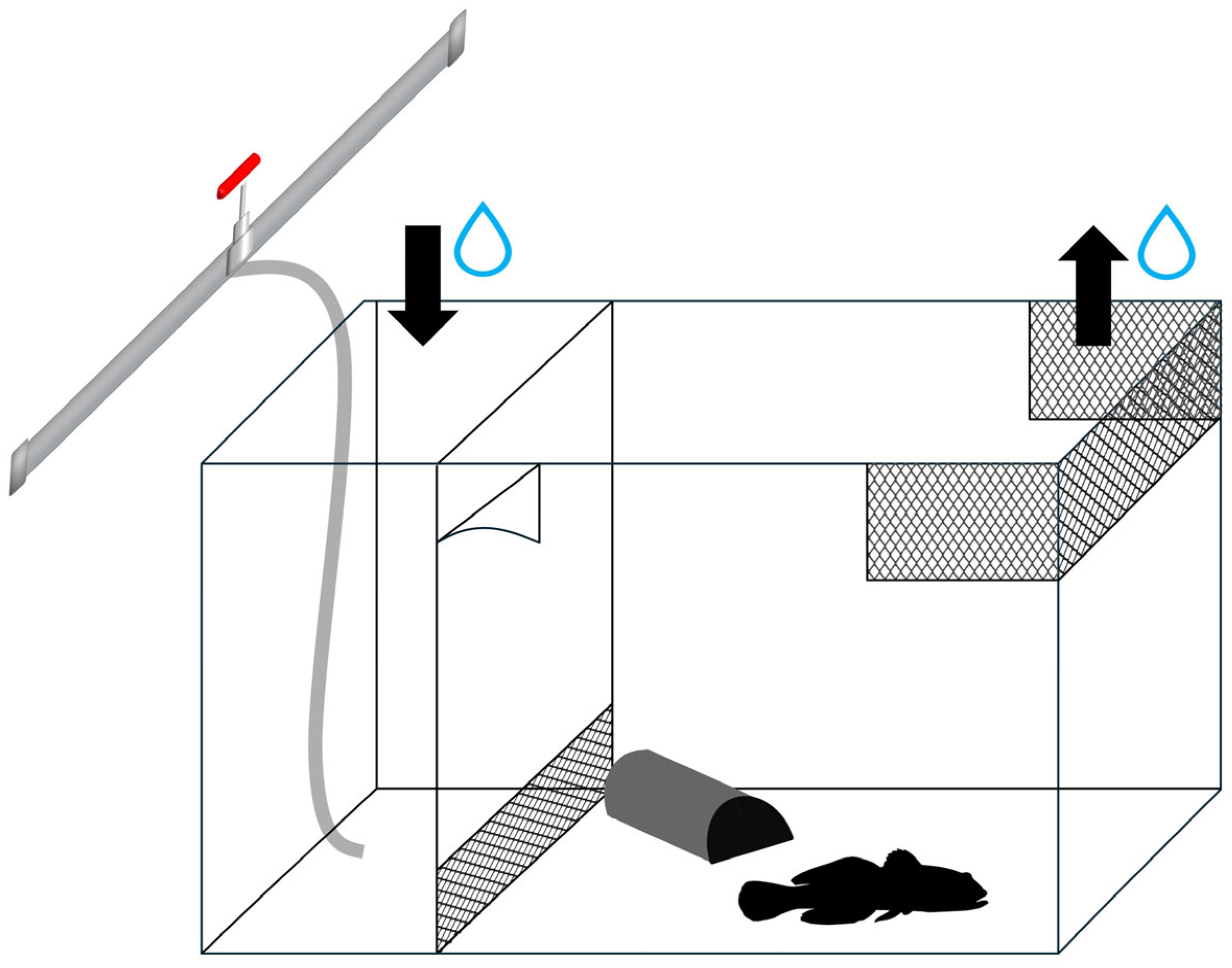 Biology 13 00406 g001 Biology 13 00406 g001