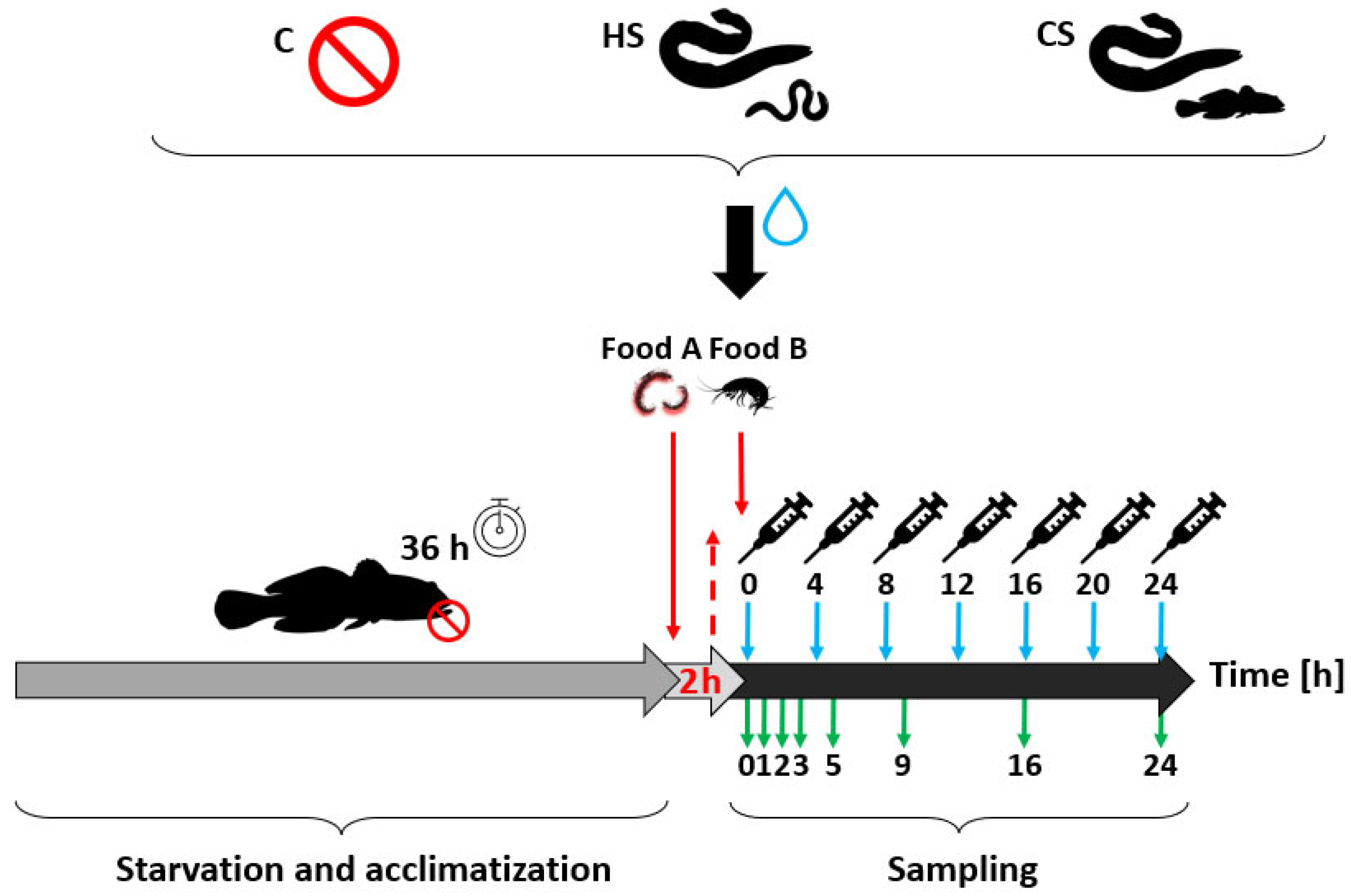 Biology 13 00406 g002 Biology 13 00406 g002