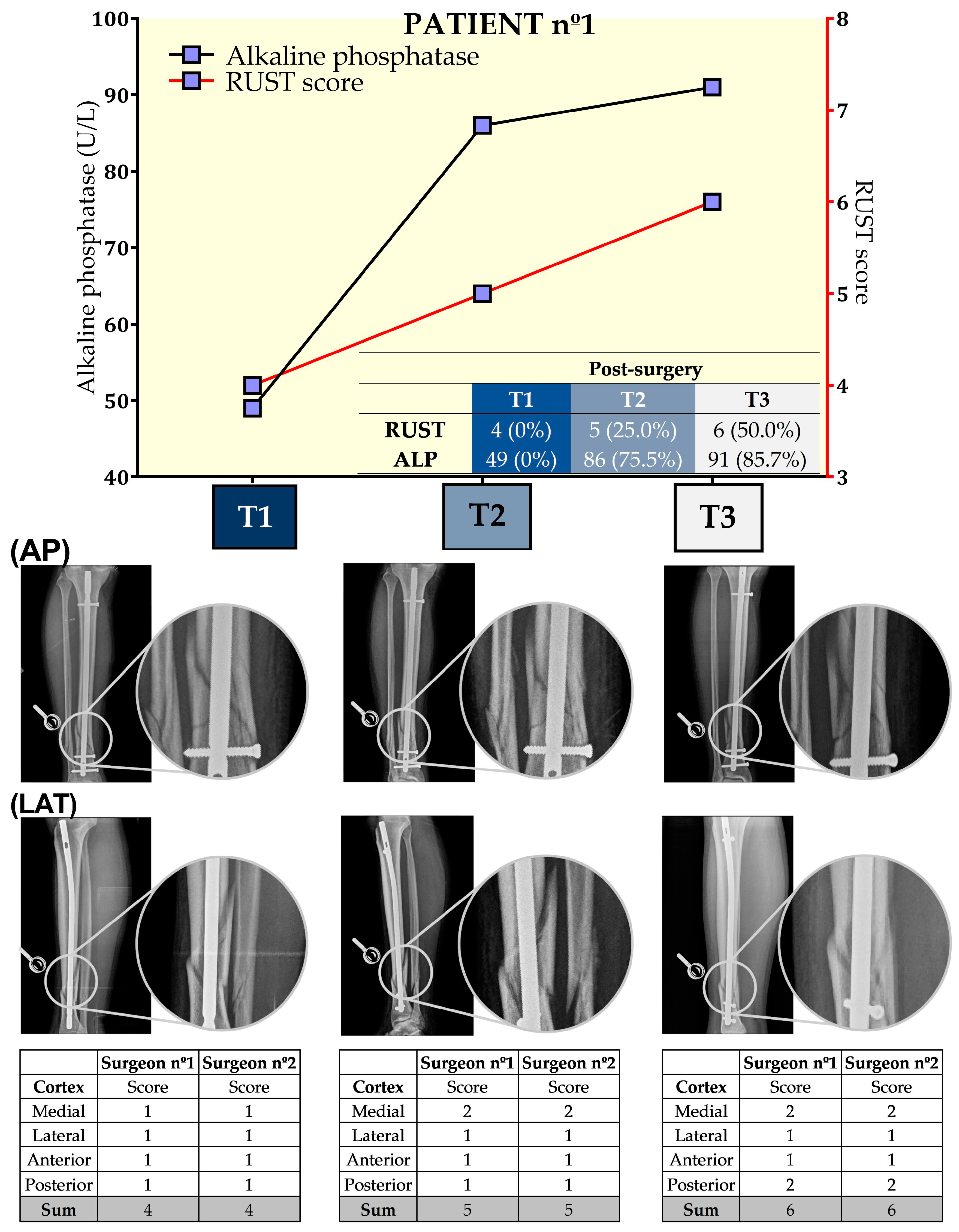 Biology 13 00407 g002