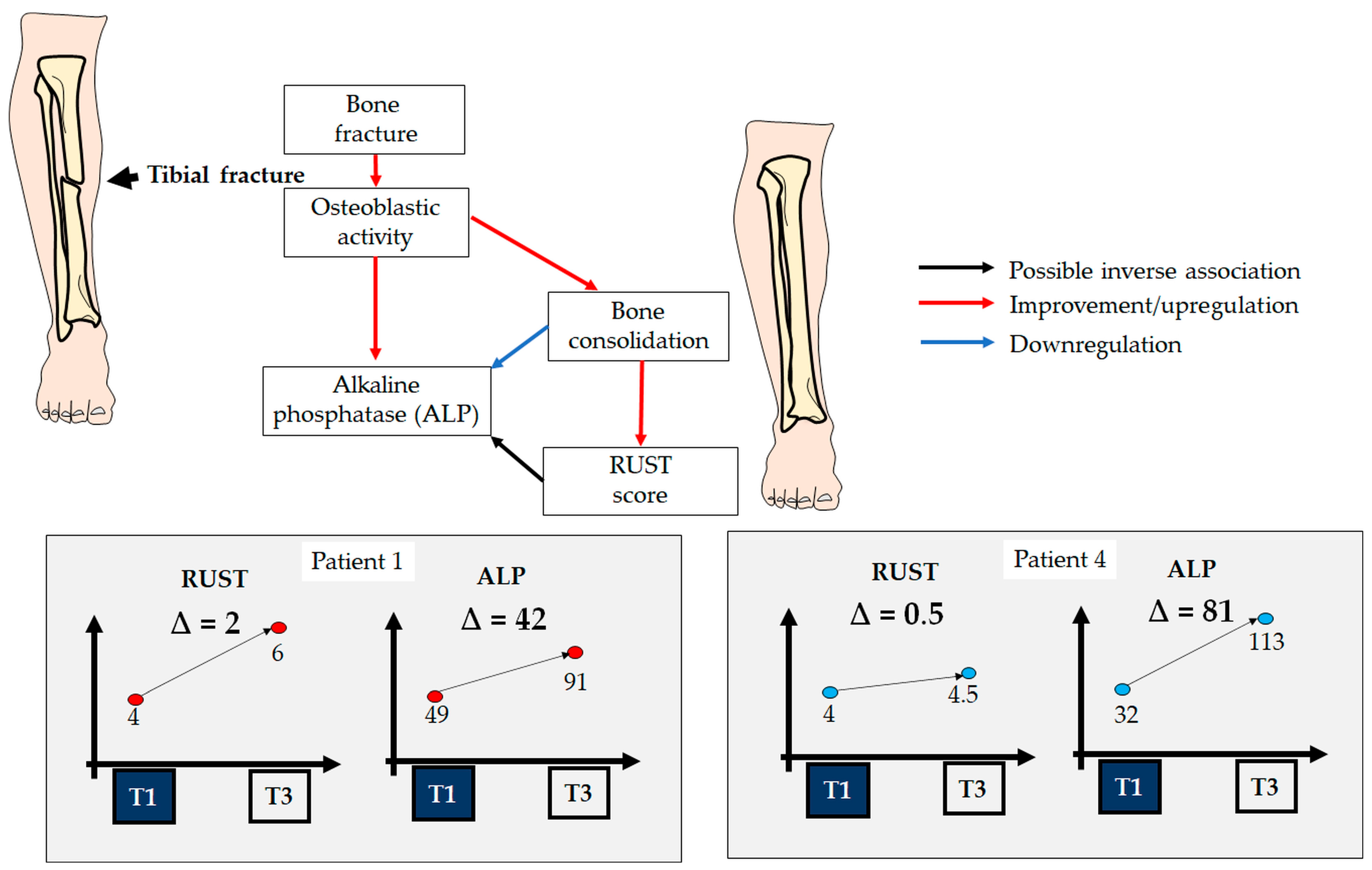 Biology 13 00407 g007