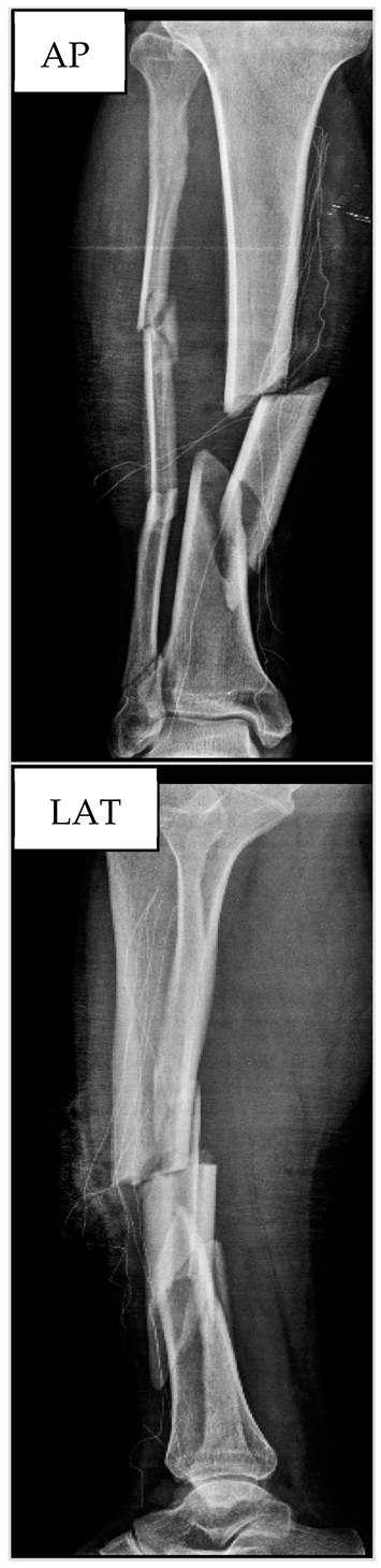 Biology 13 00407 i002