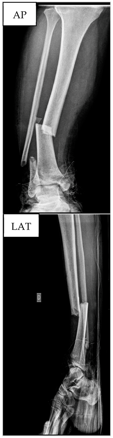 Biology 13 00407 i004