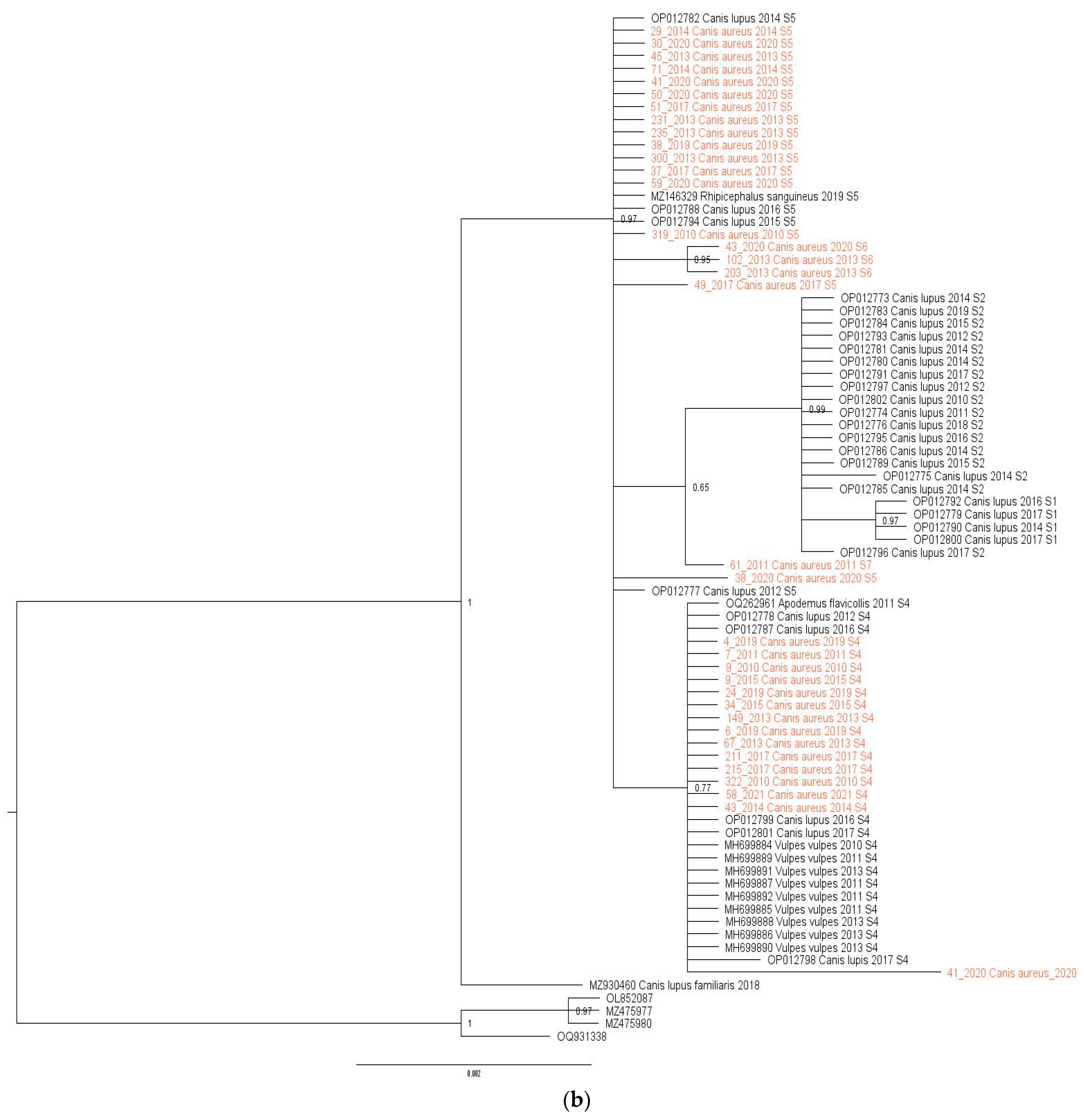 Biology 13 00411 g002b