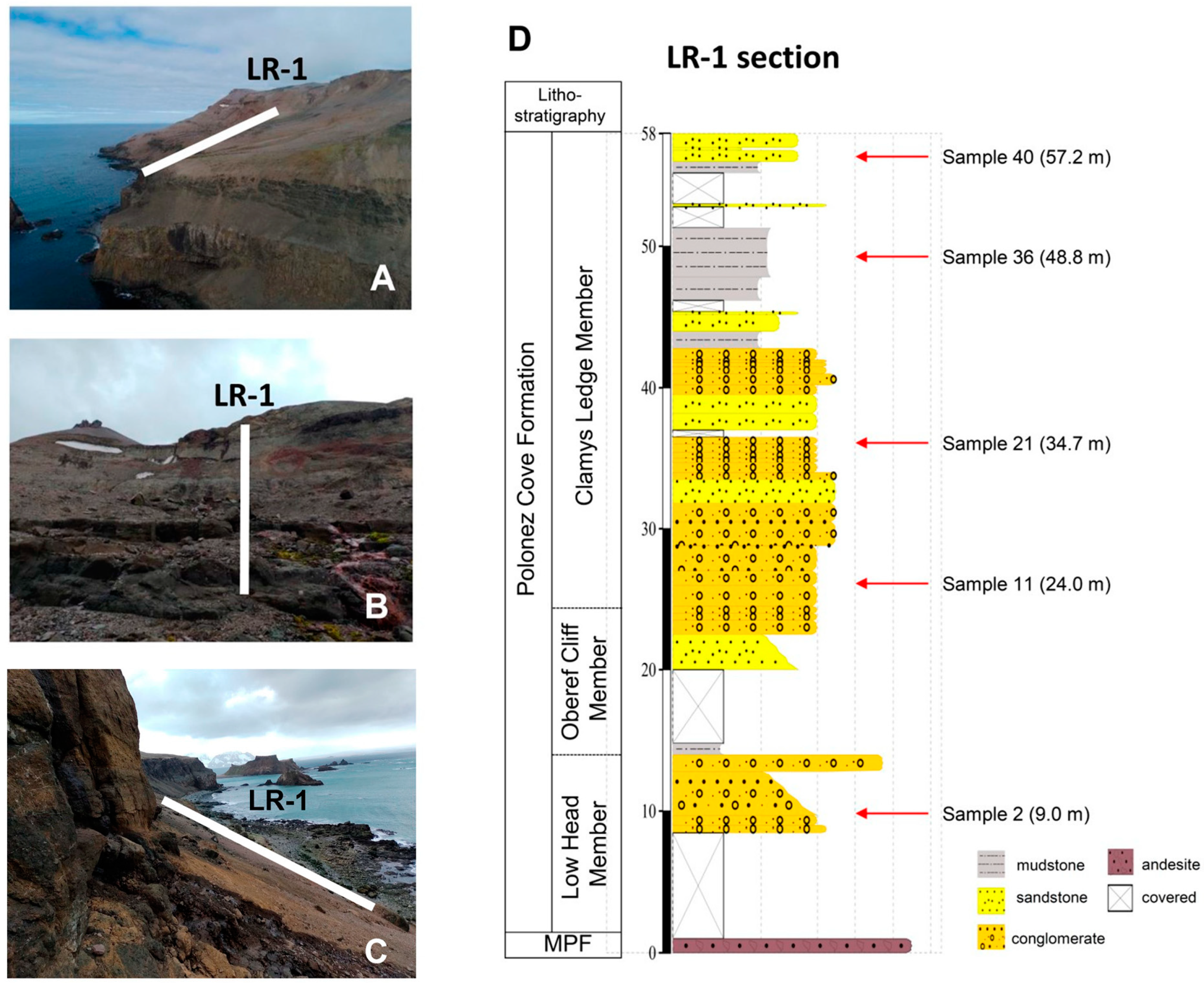 Biology 13 00414 g002