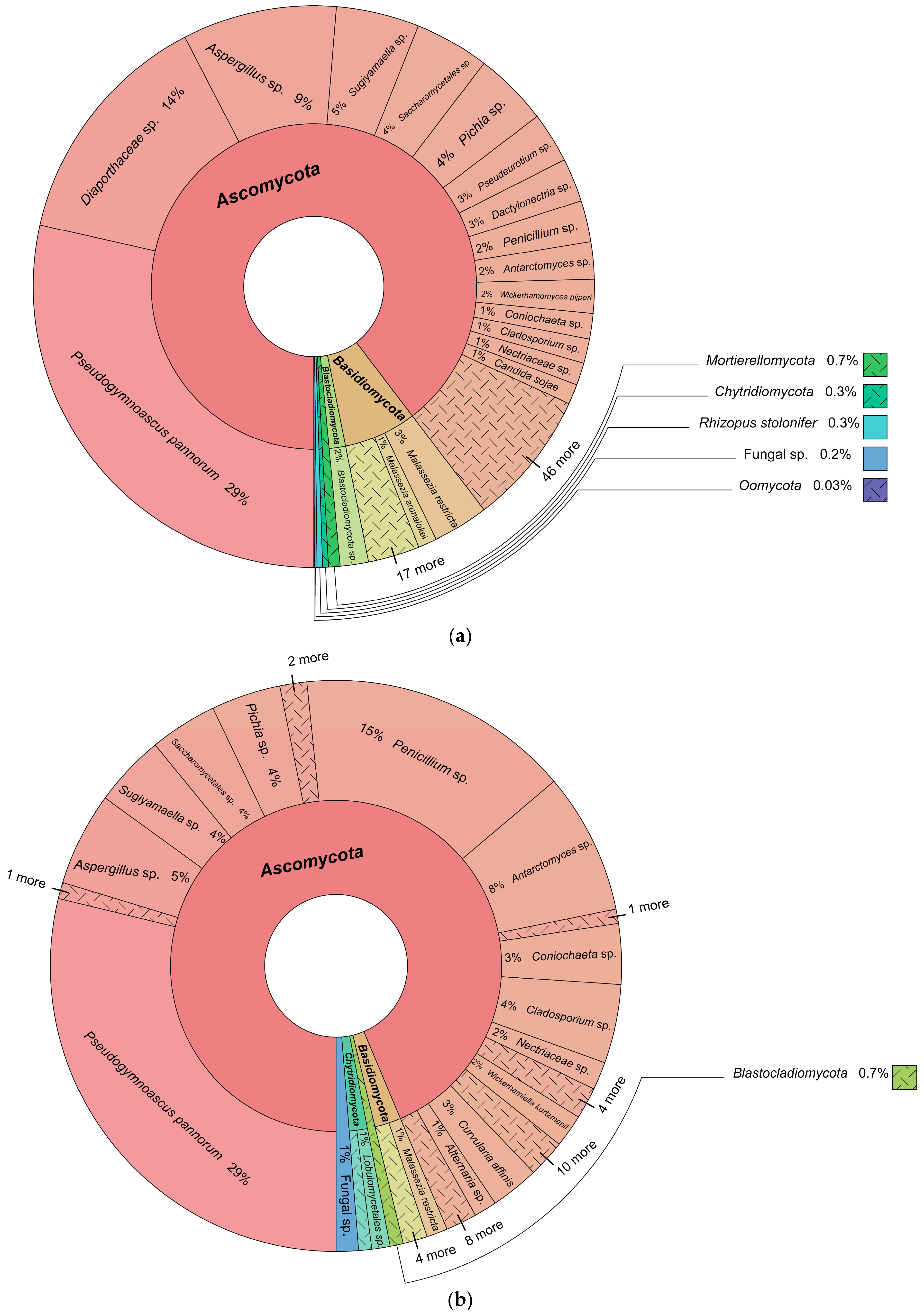 Biology 13 00414 g003a