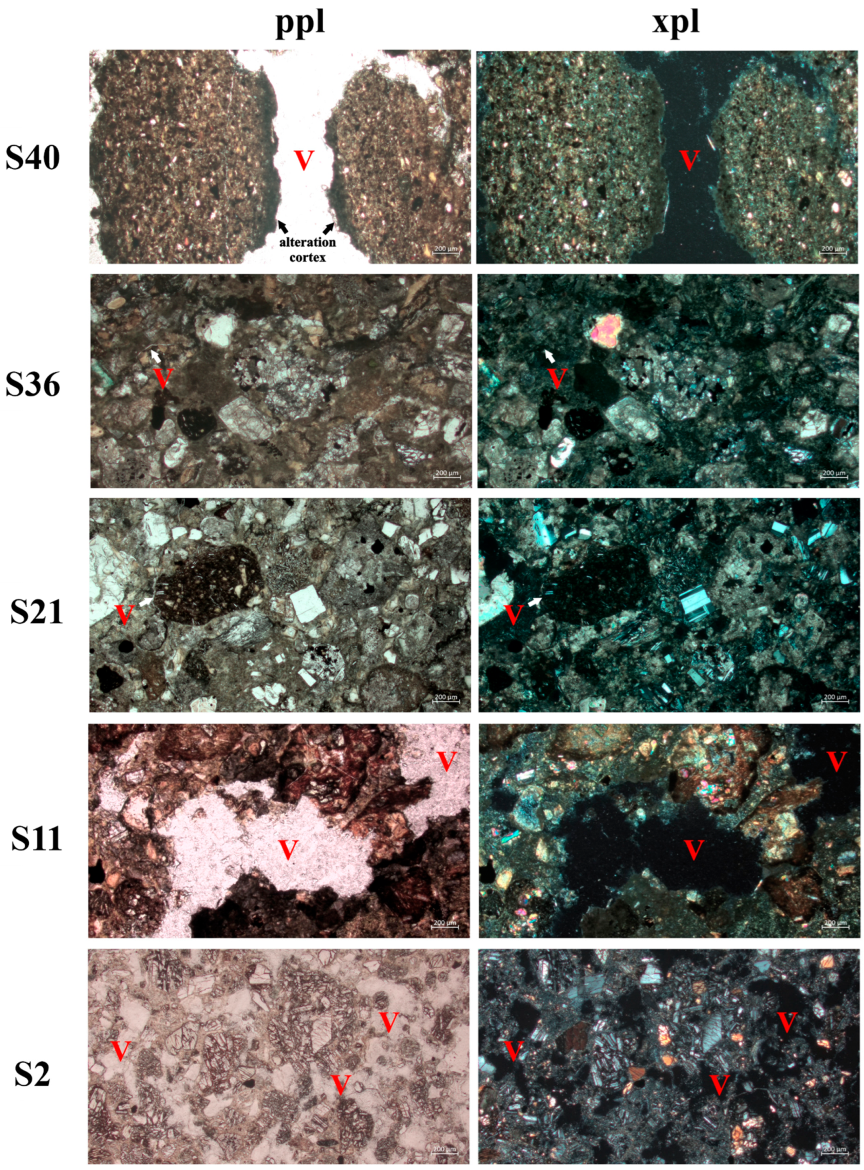 Biology 13 00414 g007
