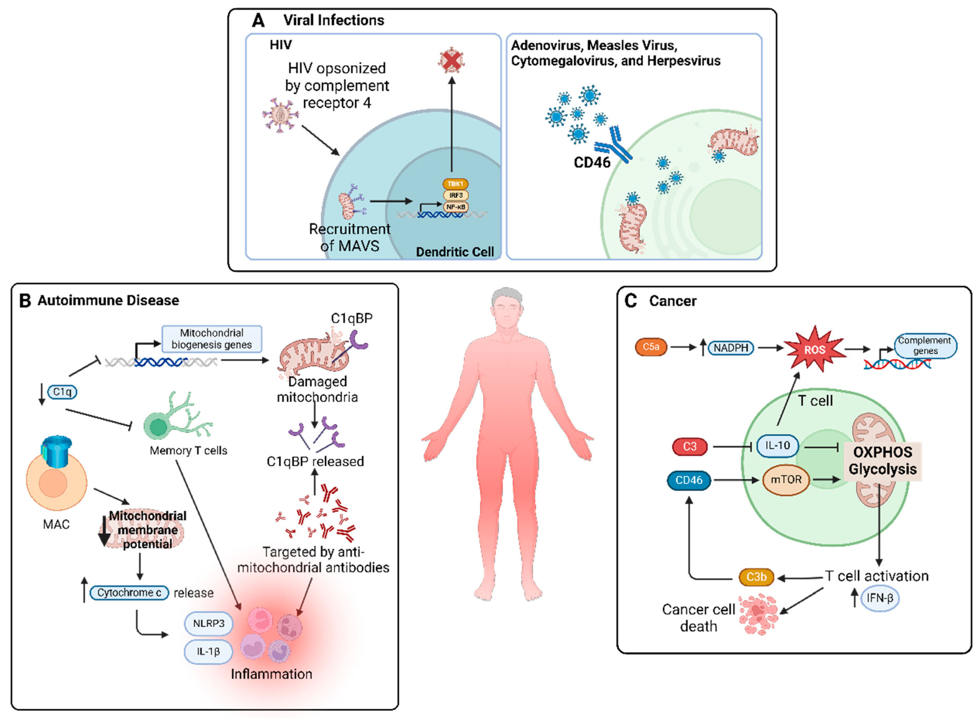 Biology 13 00431 g004