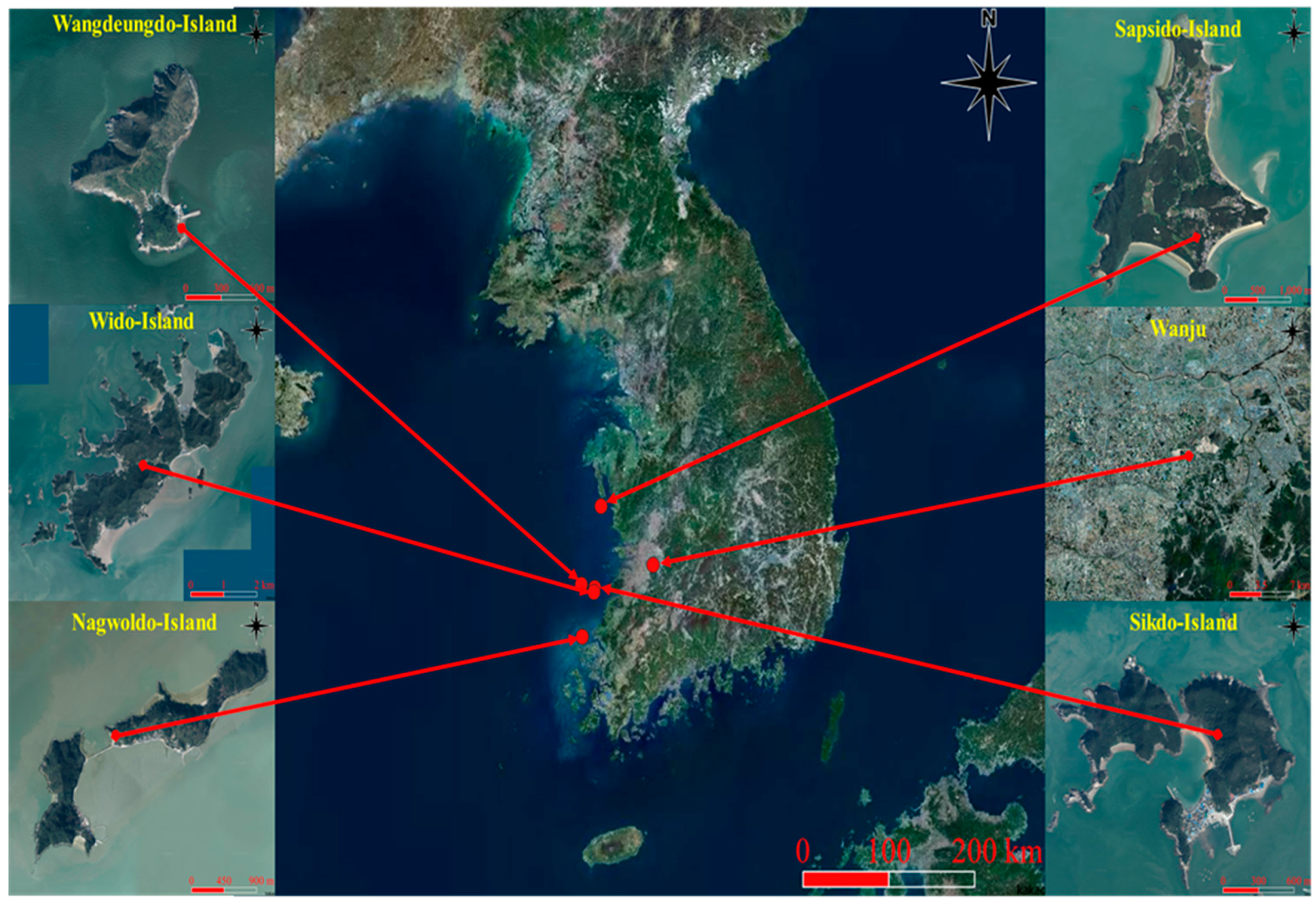 Biology 13 00444 g001 Biology 13 00444 g001
