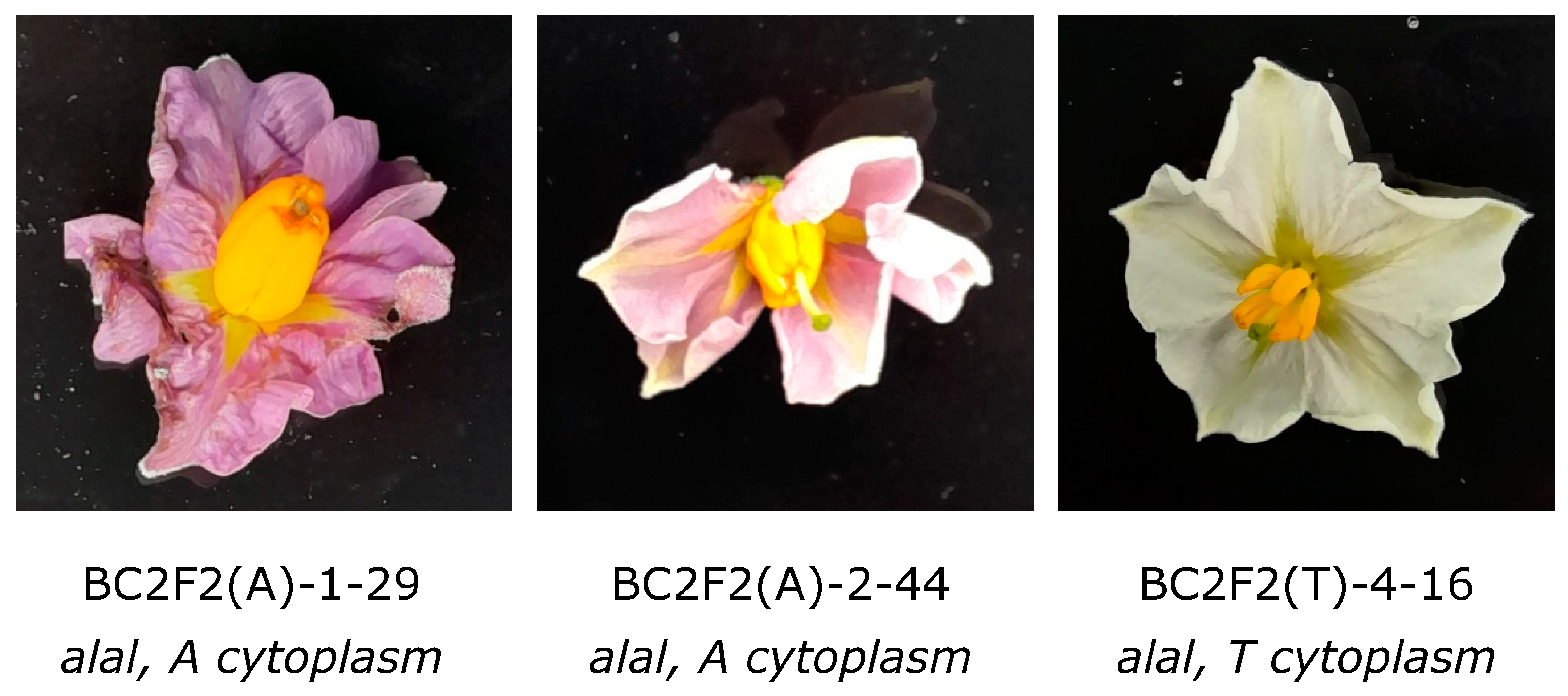 Biology 13 00447 g002
