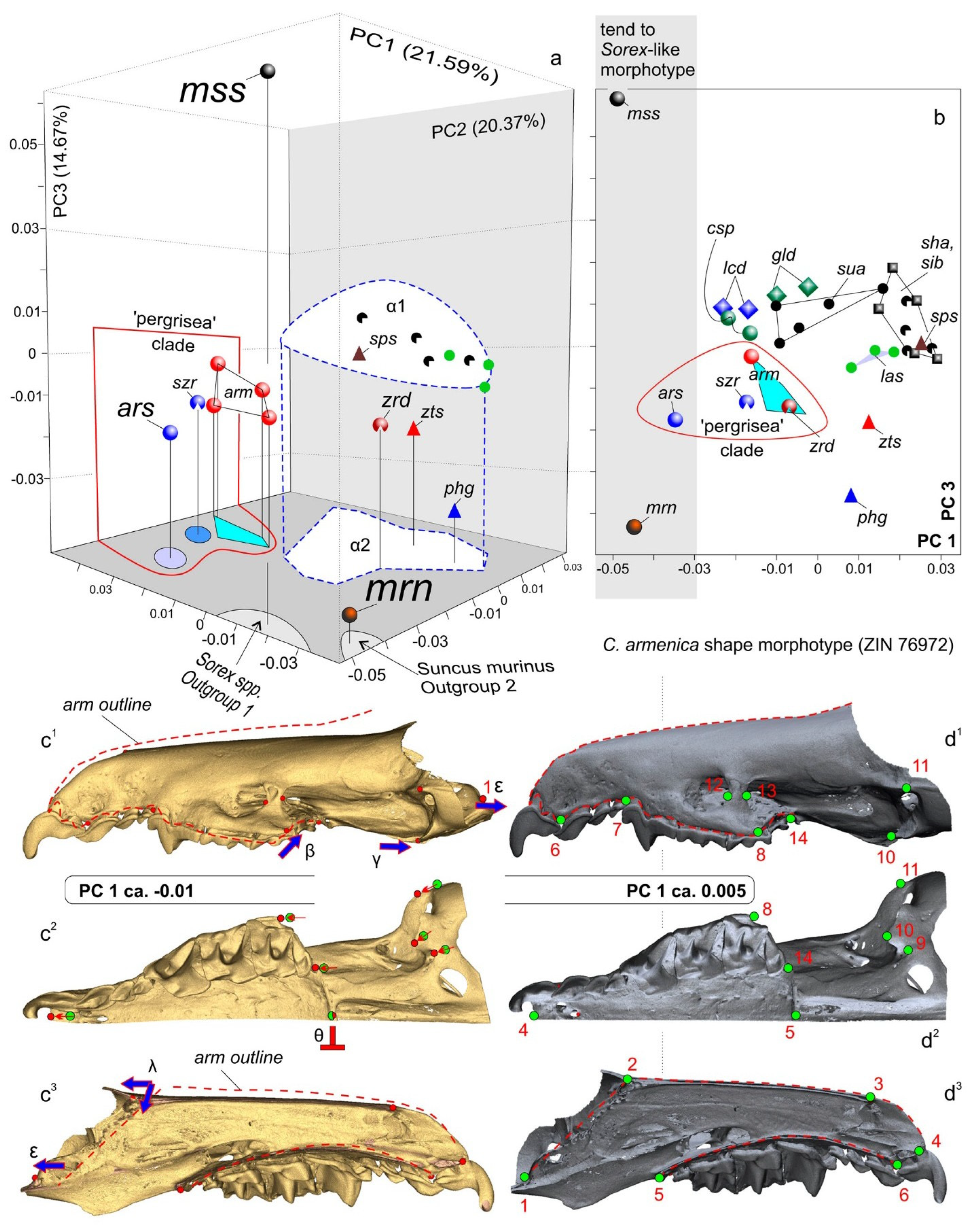 Biology 13 00448 g009 Biology 13 00448 g009