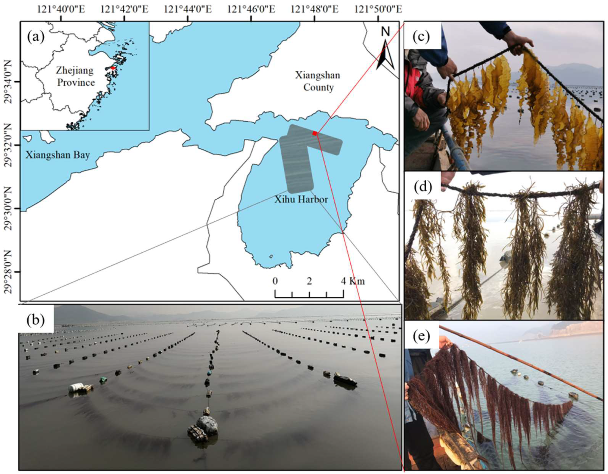 Biology 13 00459 g001