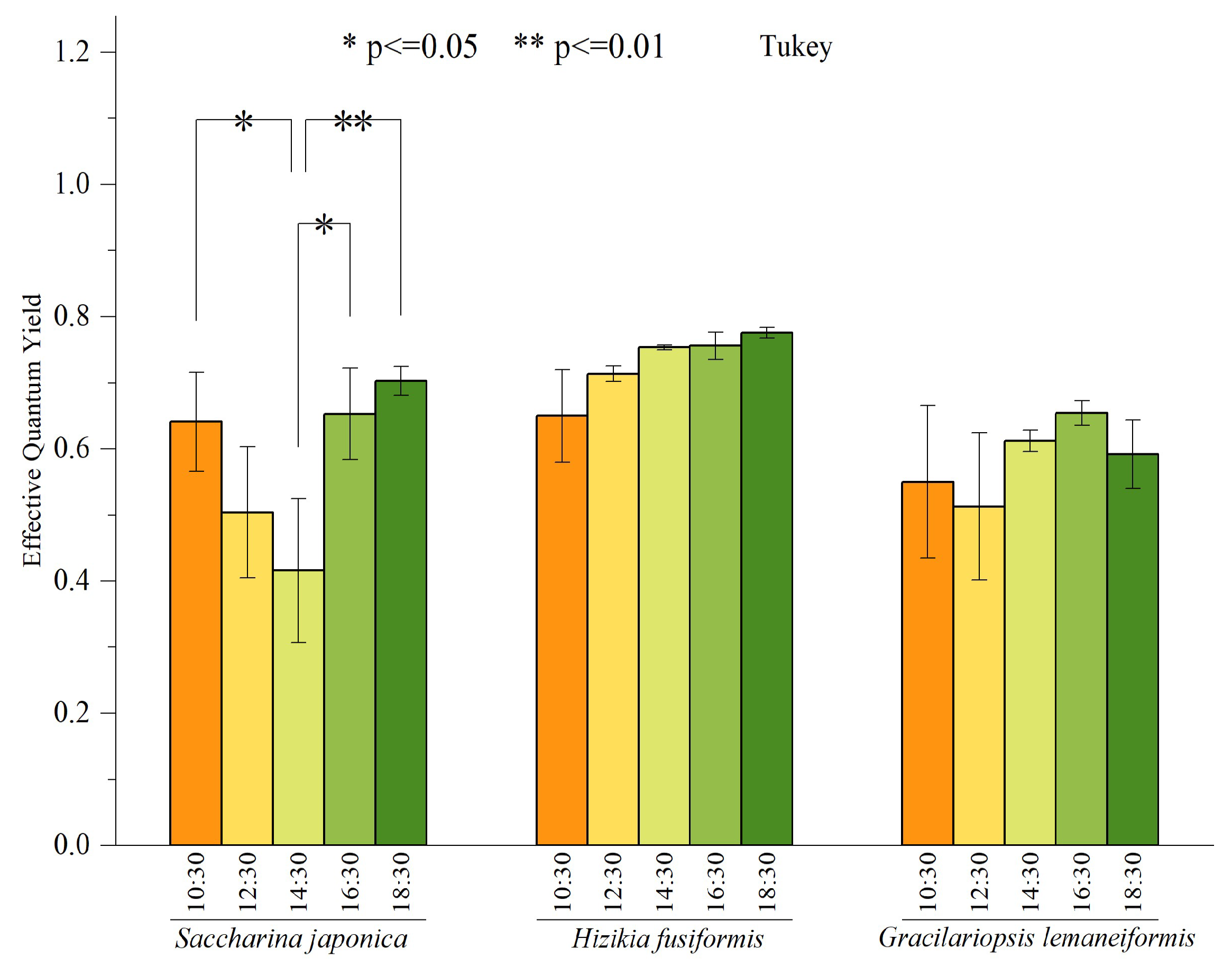 Biology 13 00459 g004