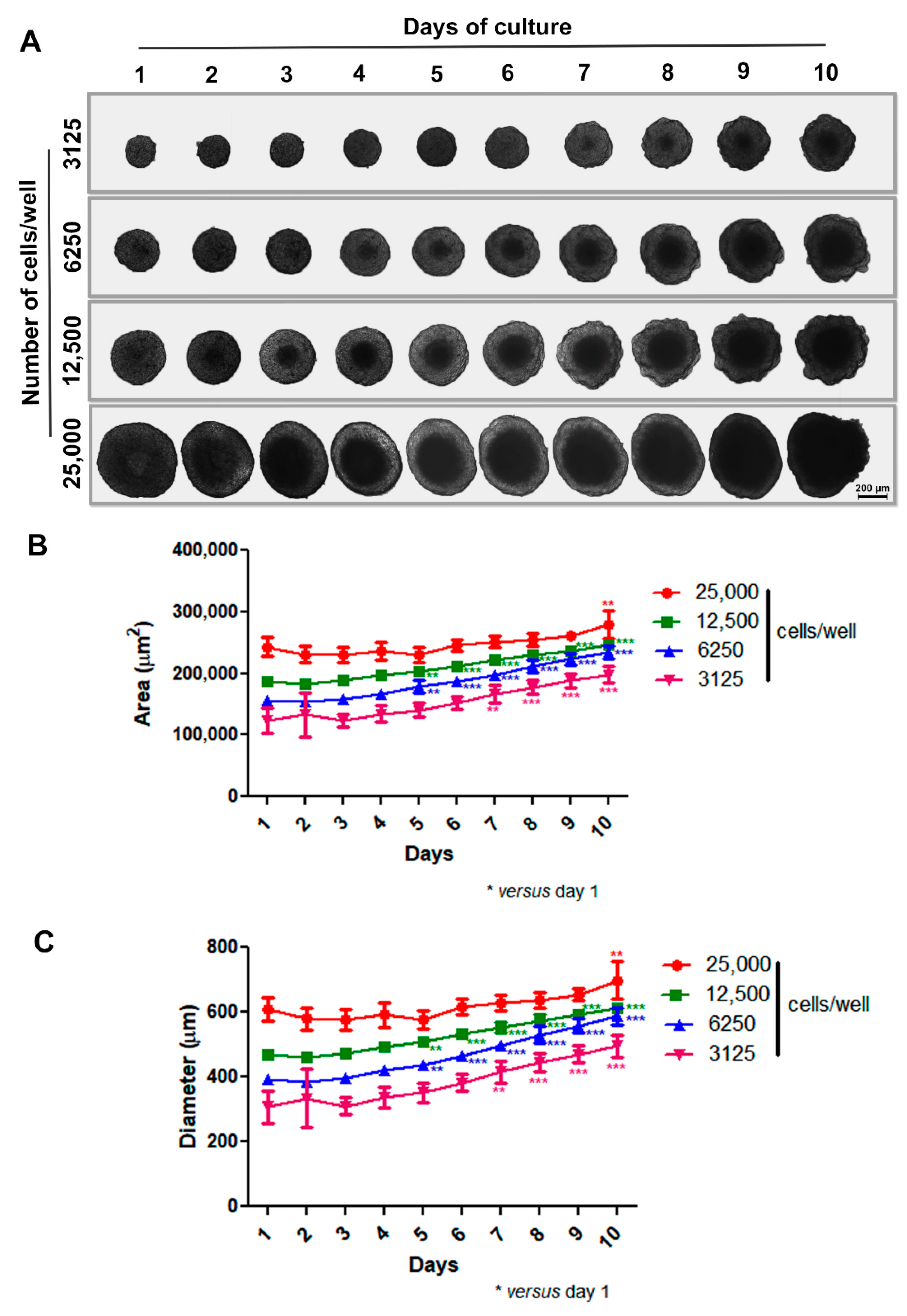Biology 13 00463 g001