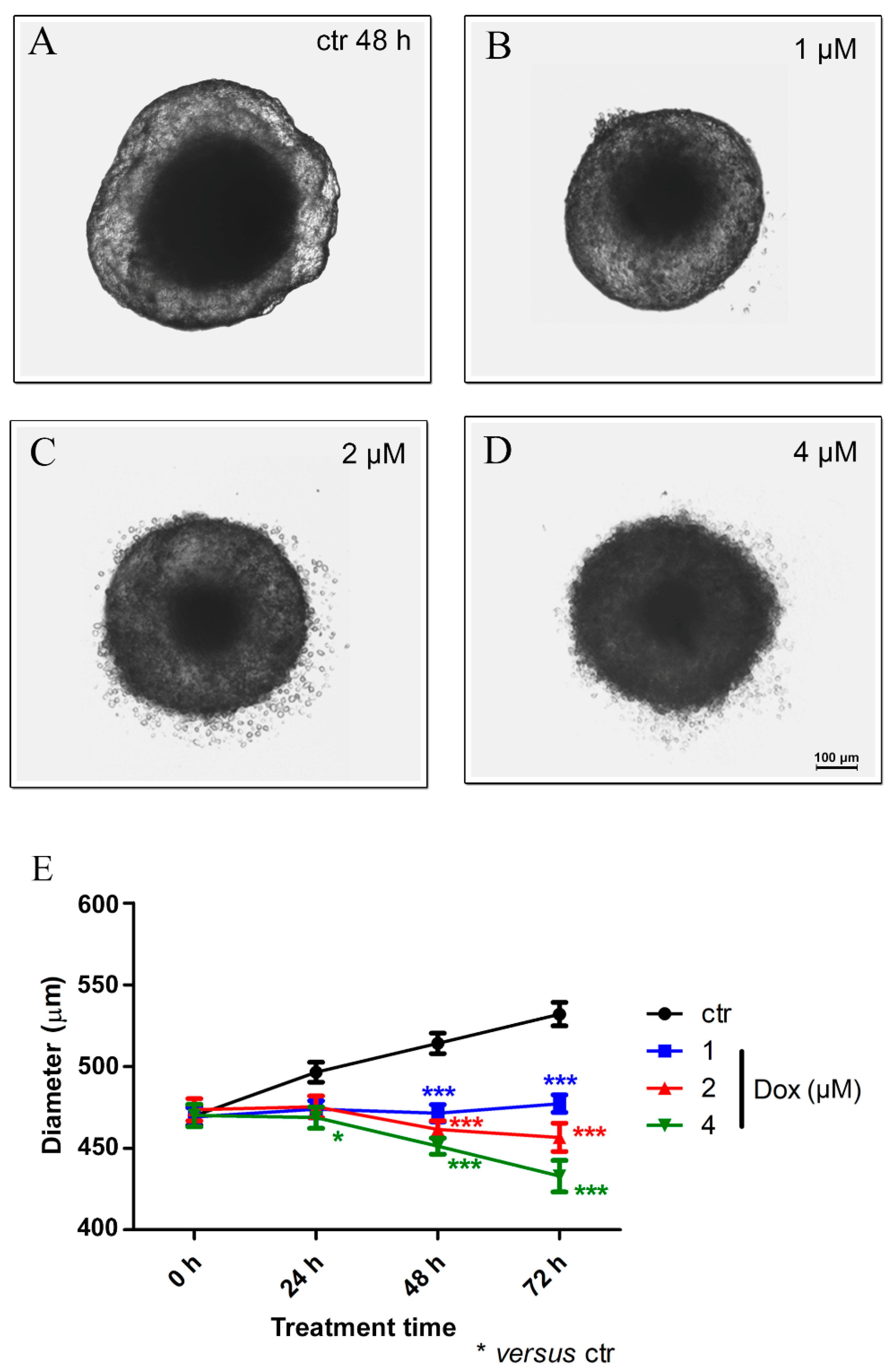 Biology 13 00463 g005