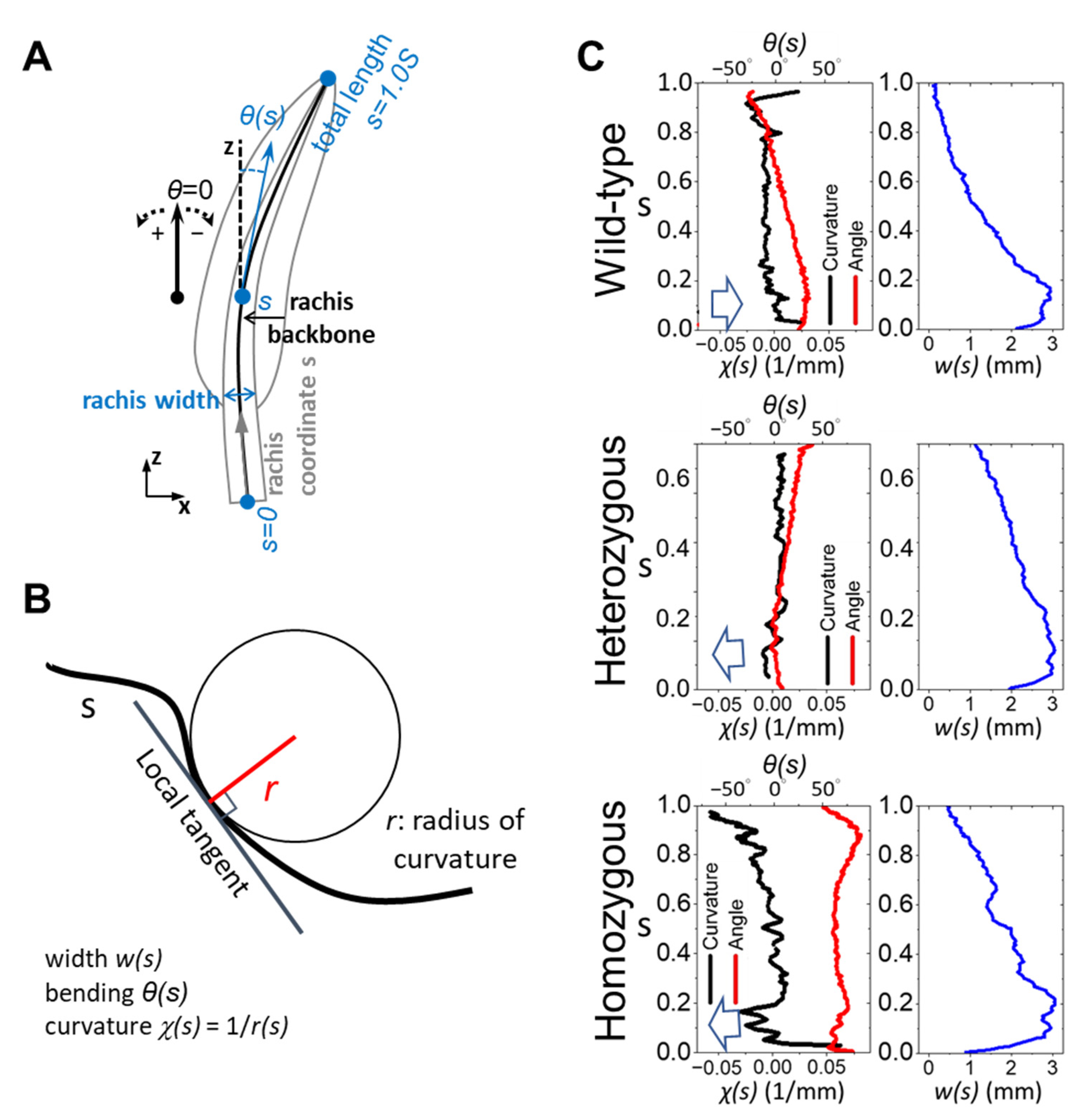 Biology 13 00464 g002