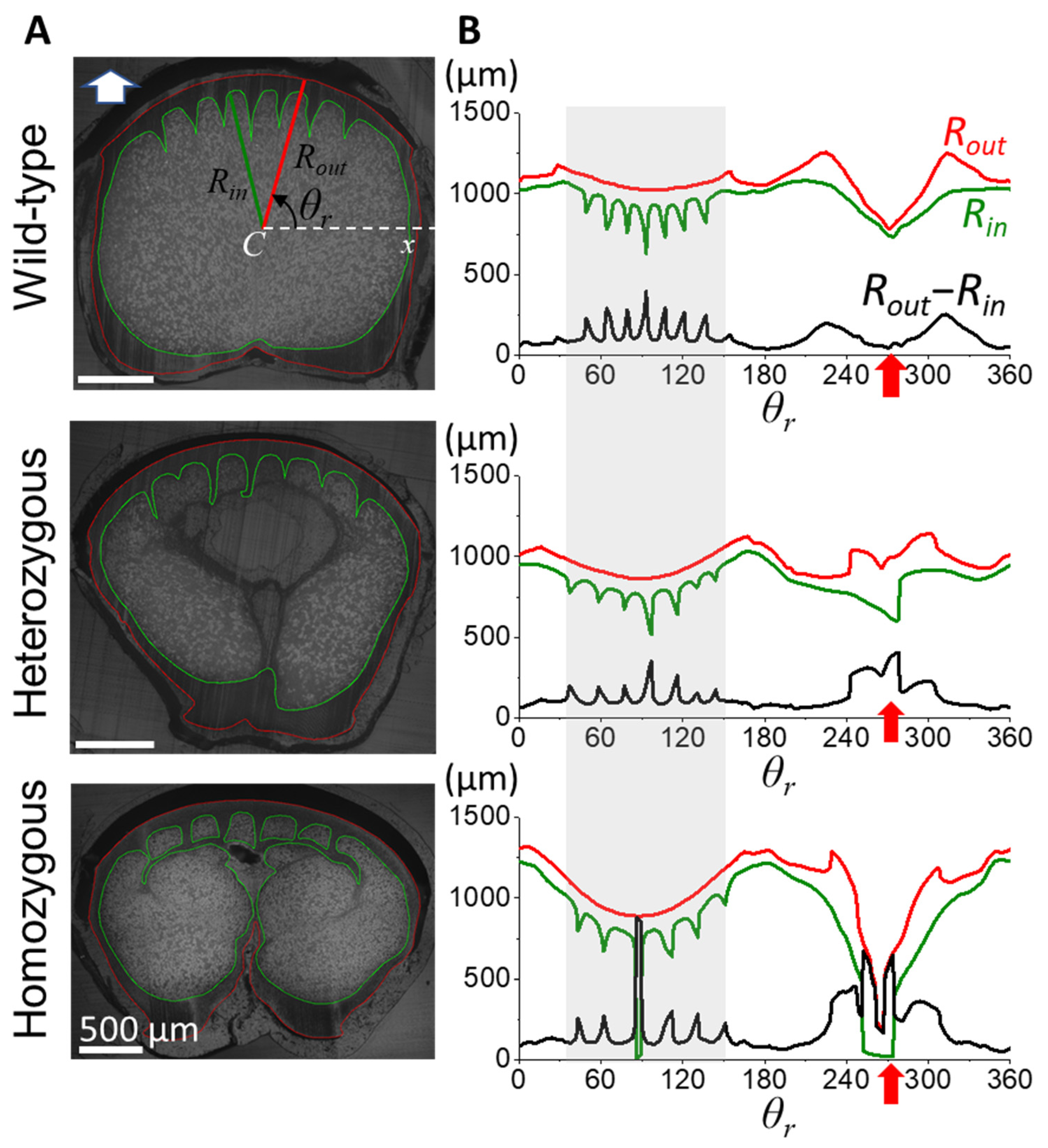 Biology 13 00464 g003