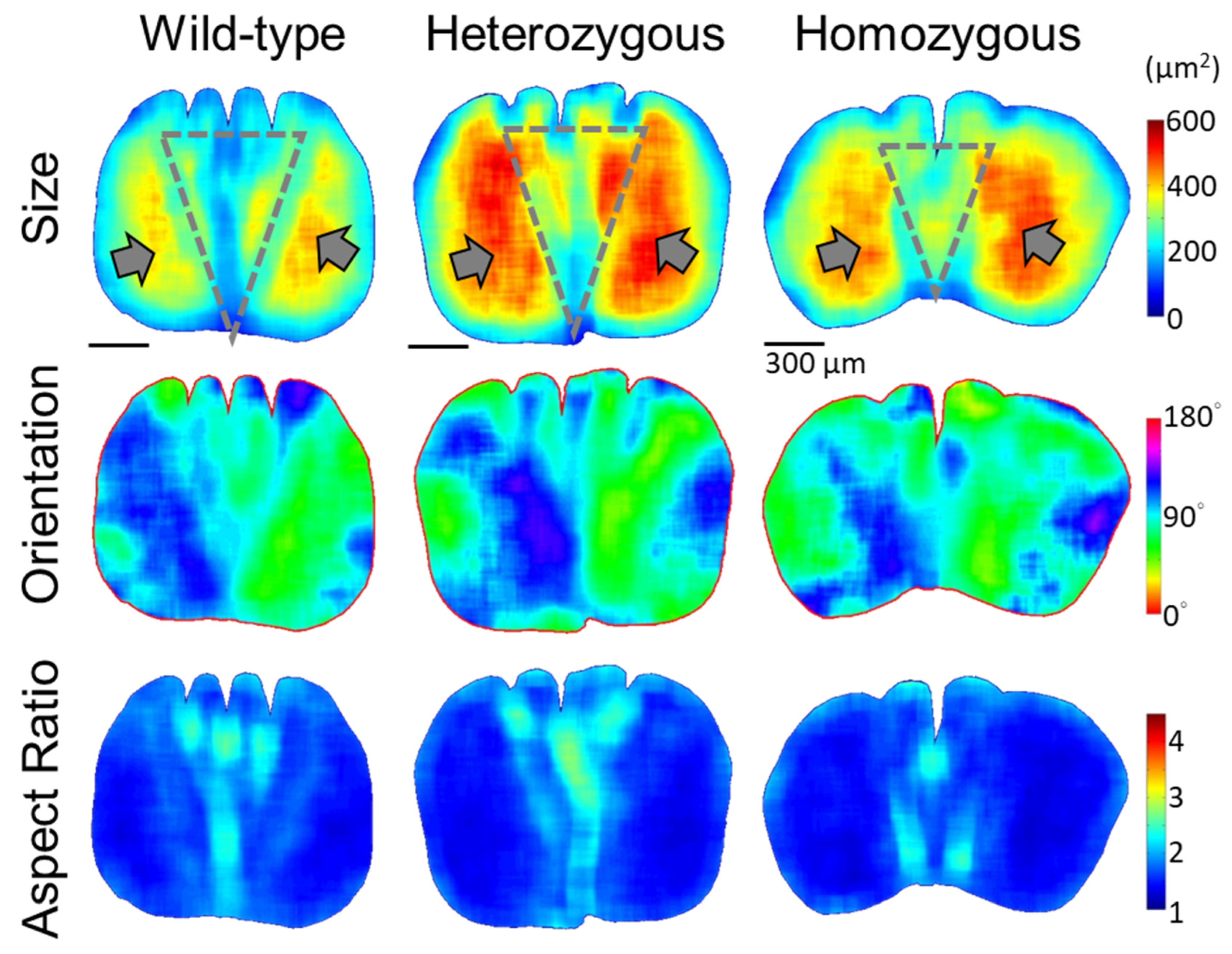 Biology 13 00464 g006
