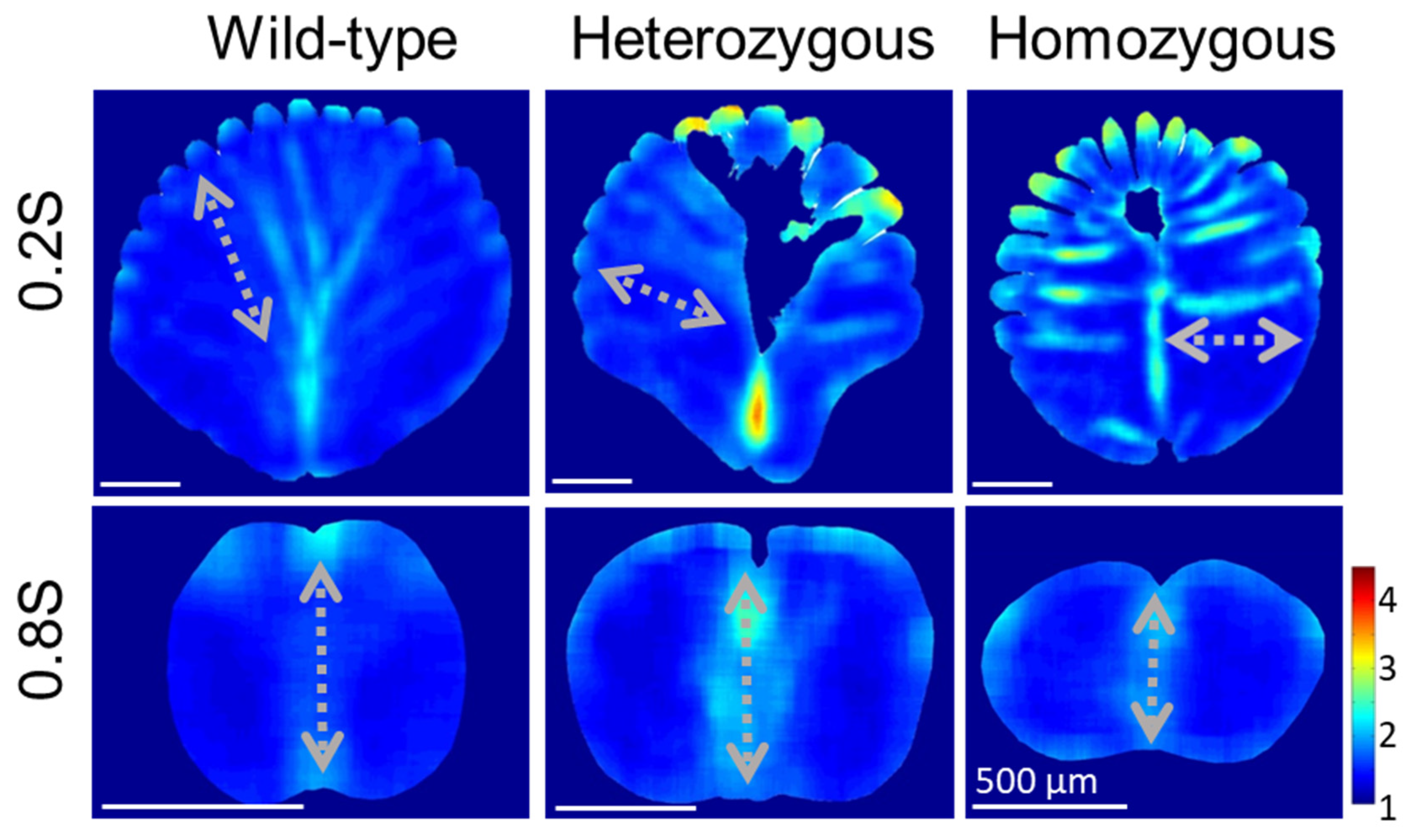 Biology 13 00464 g007