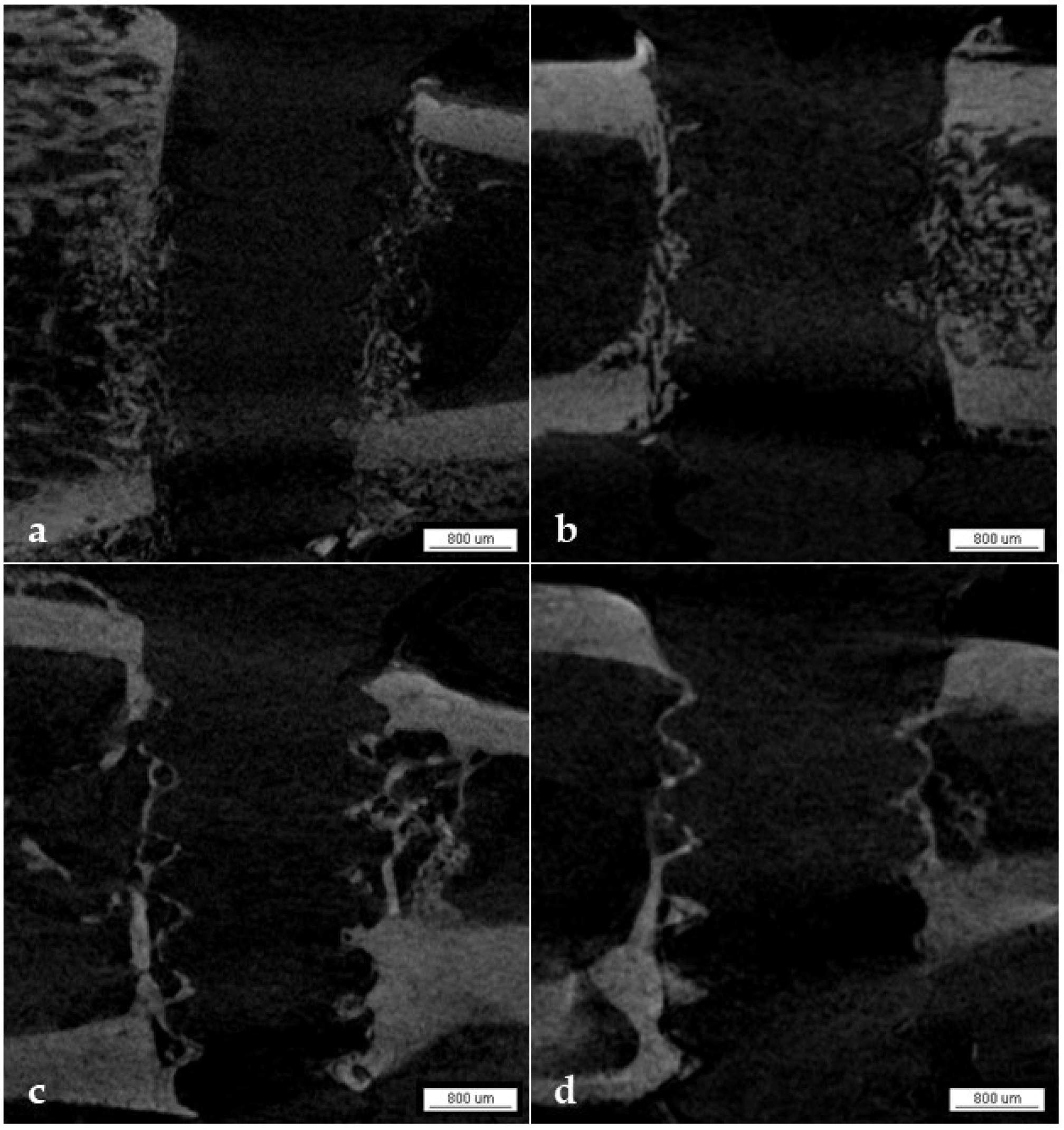 Biology 13 00471 g003