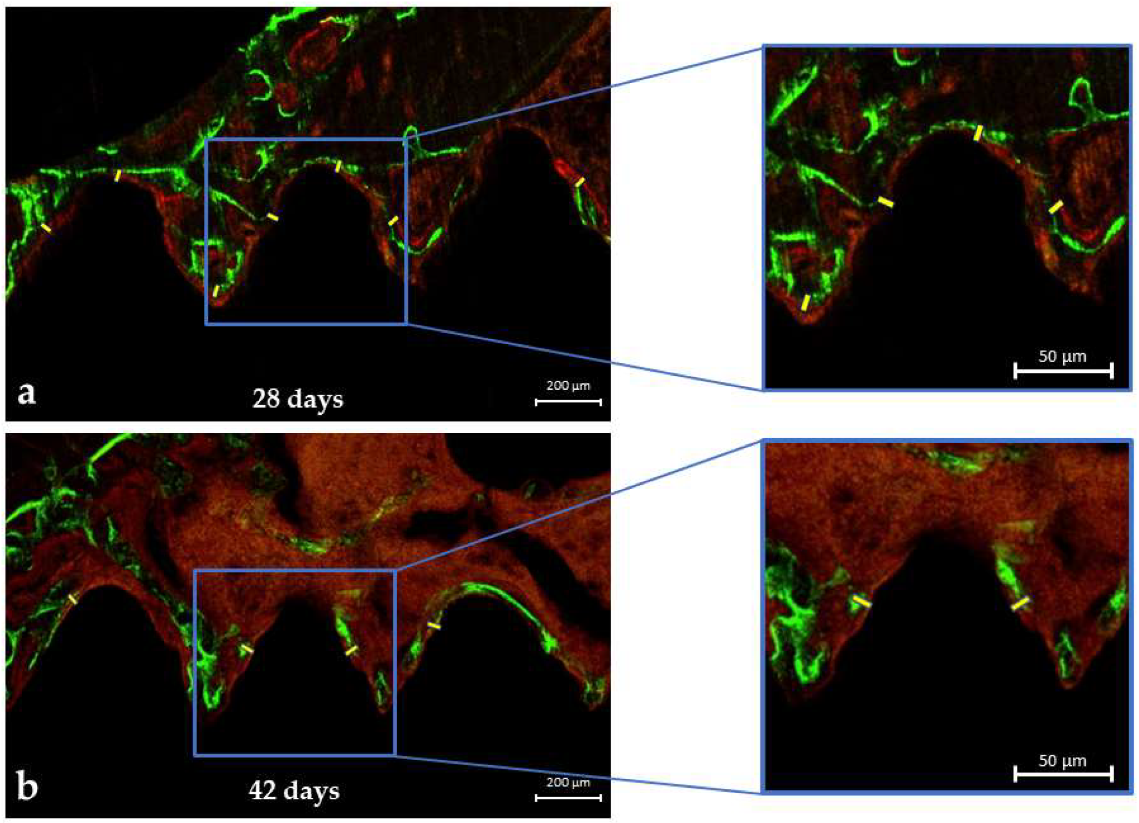 Biology 13 00471 g005