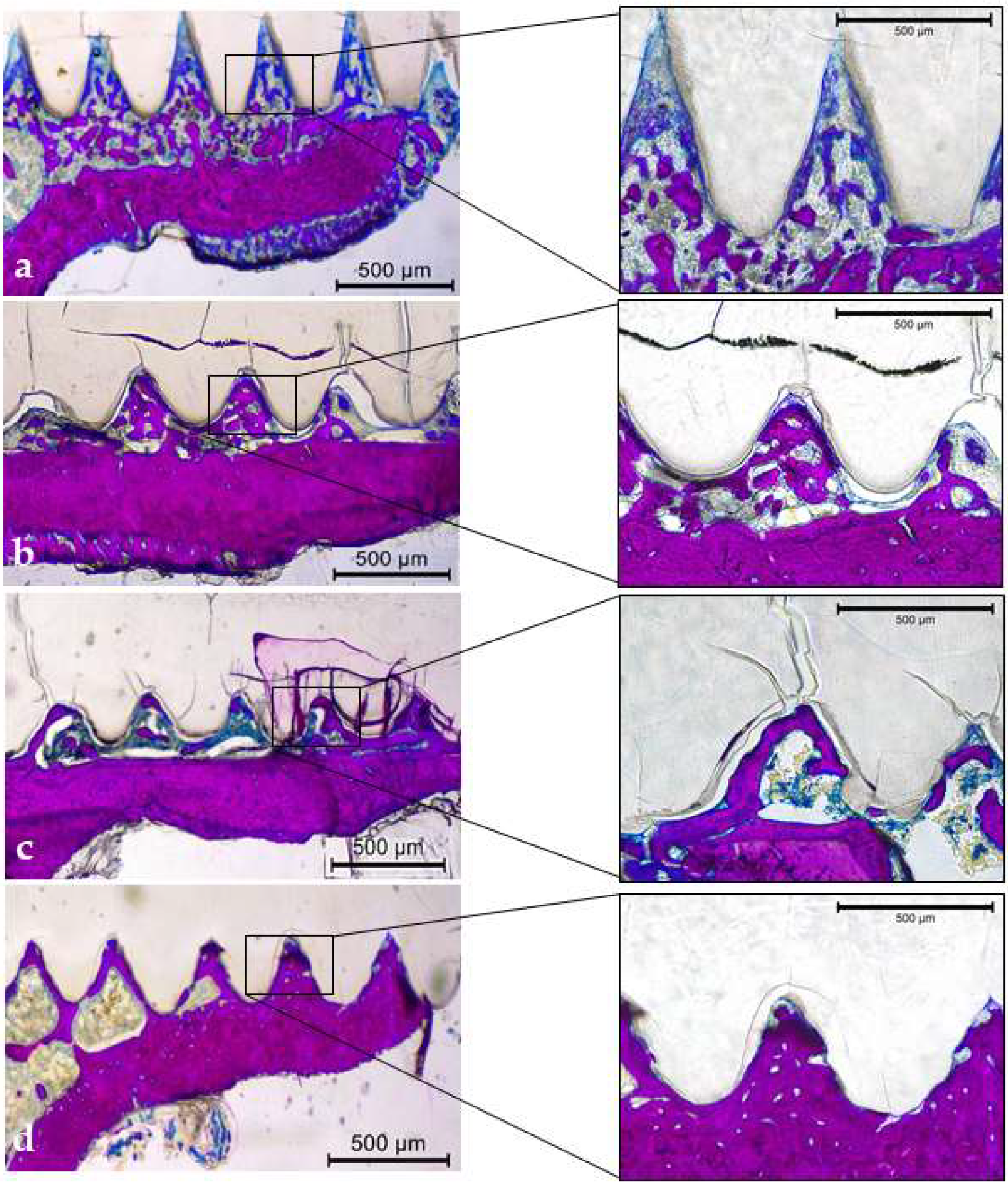 Biology 13 00471 g007