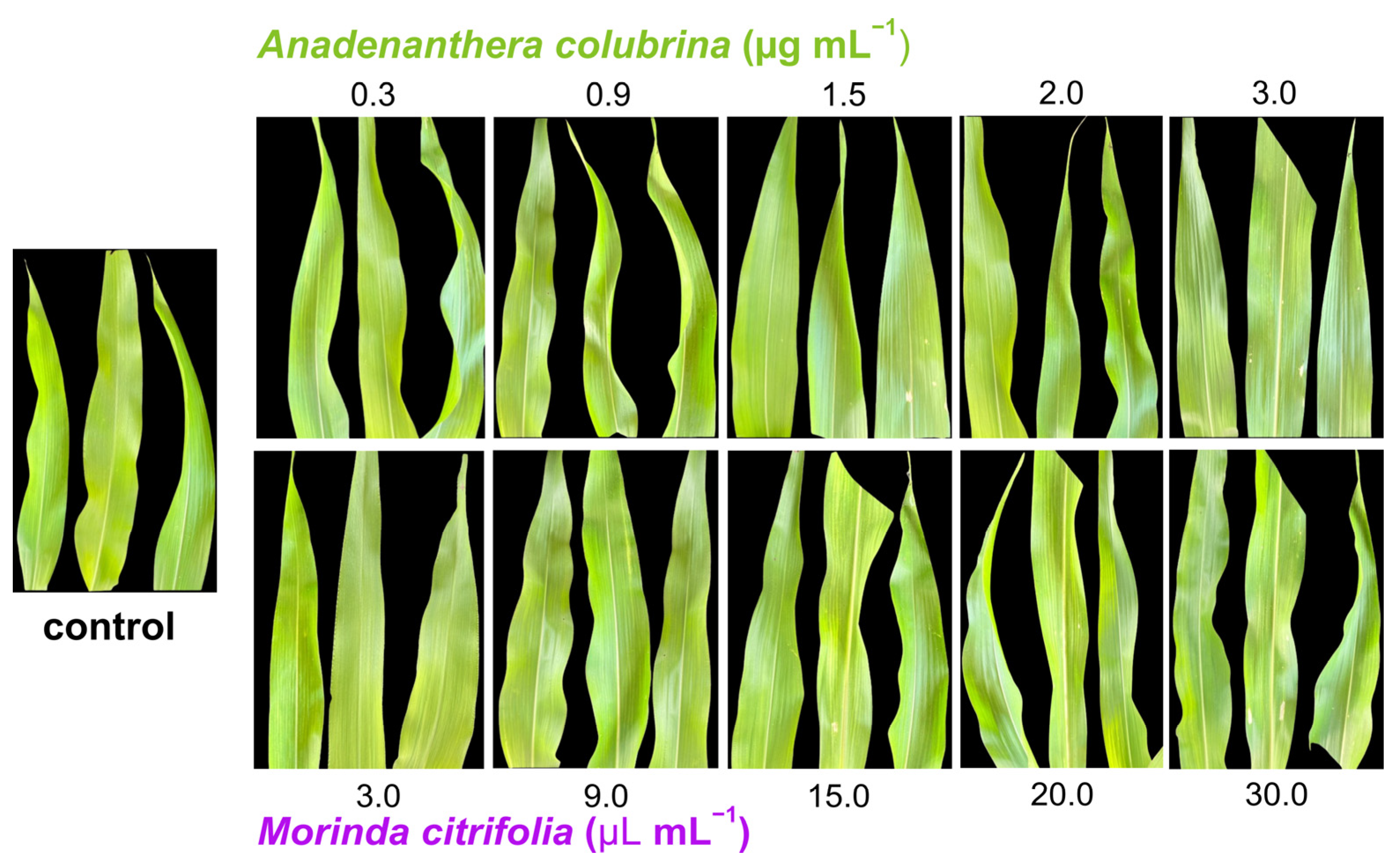 Biology 13 00479 g002
