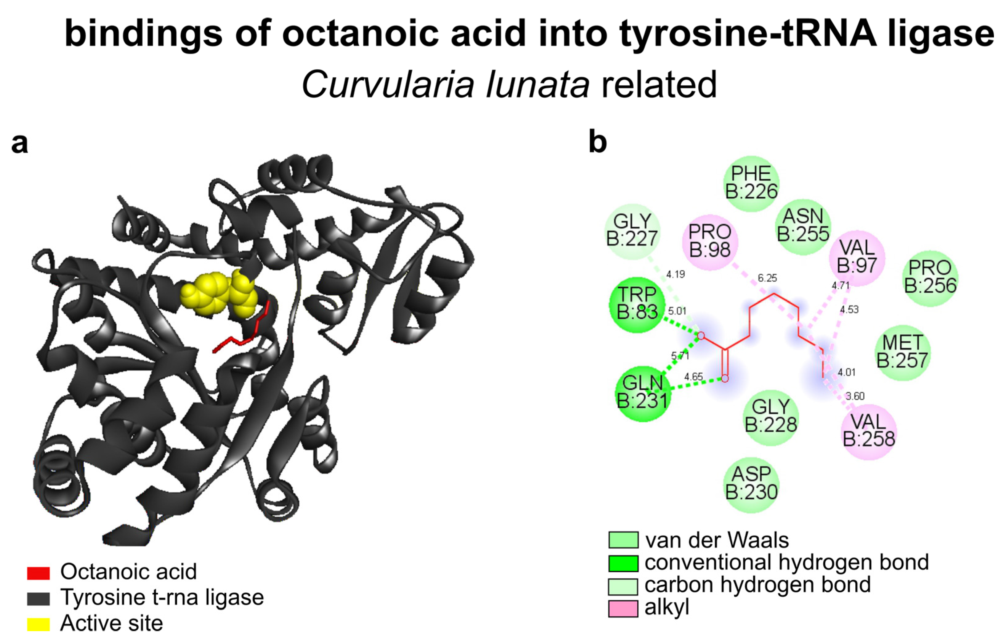 Biology 13 00479 g003