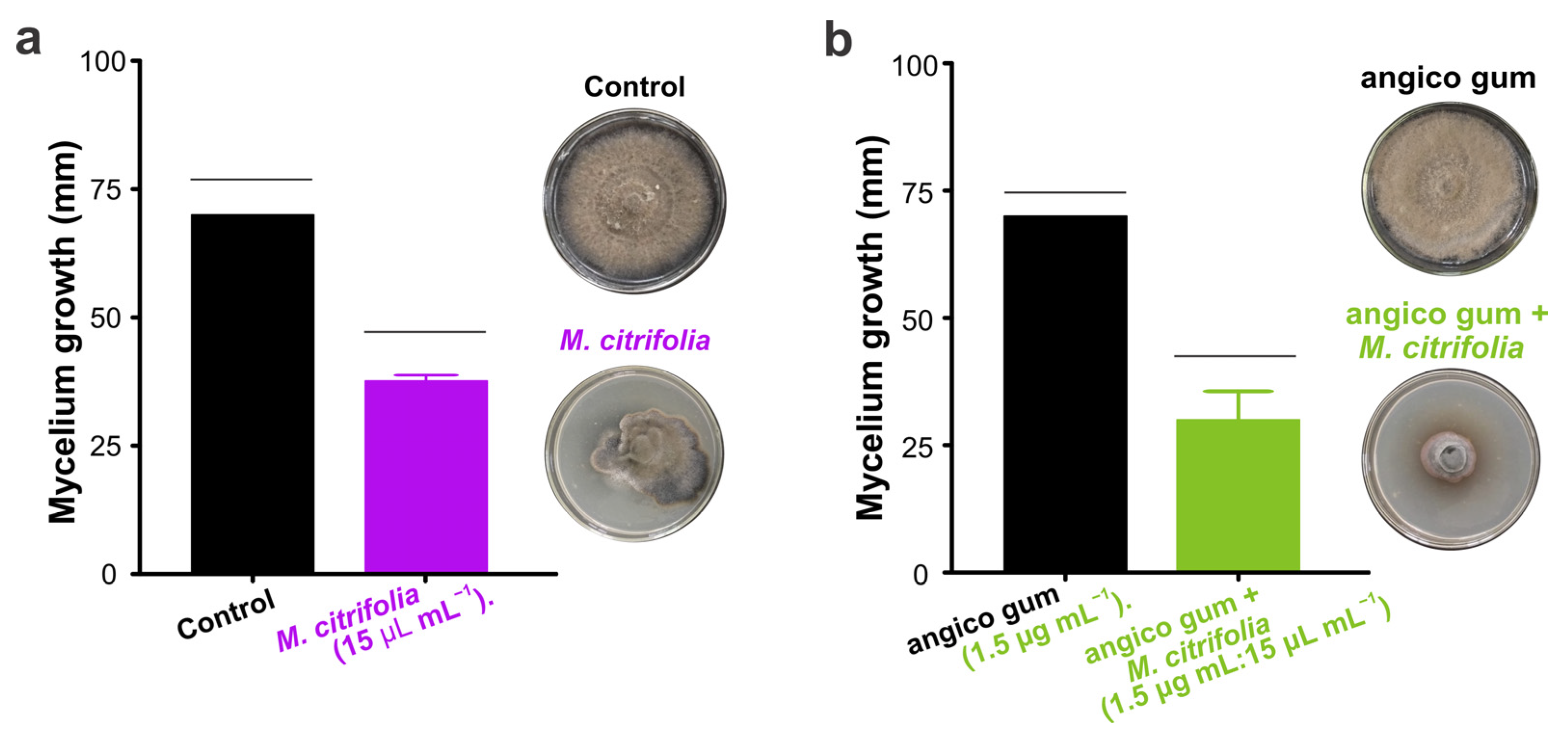 Biology 13 00479 g005