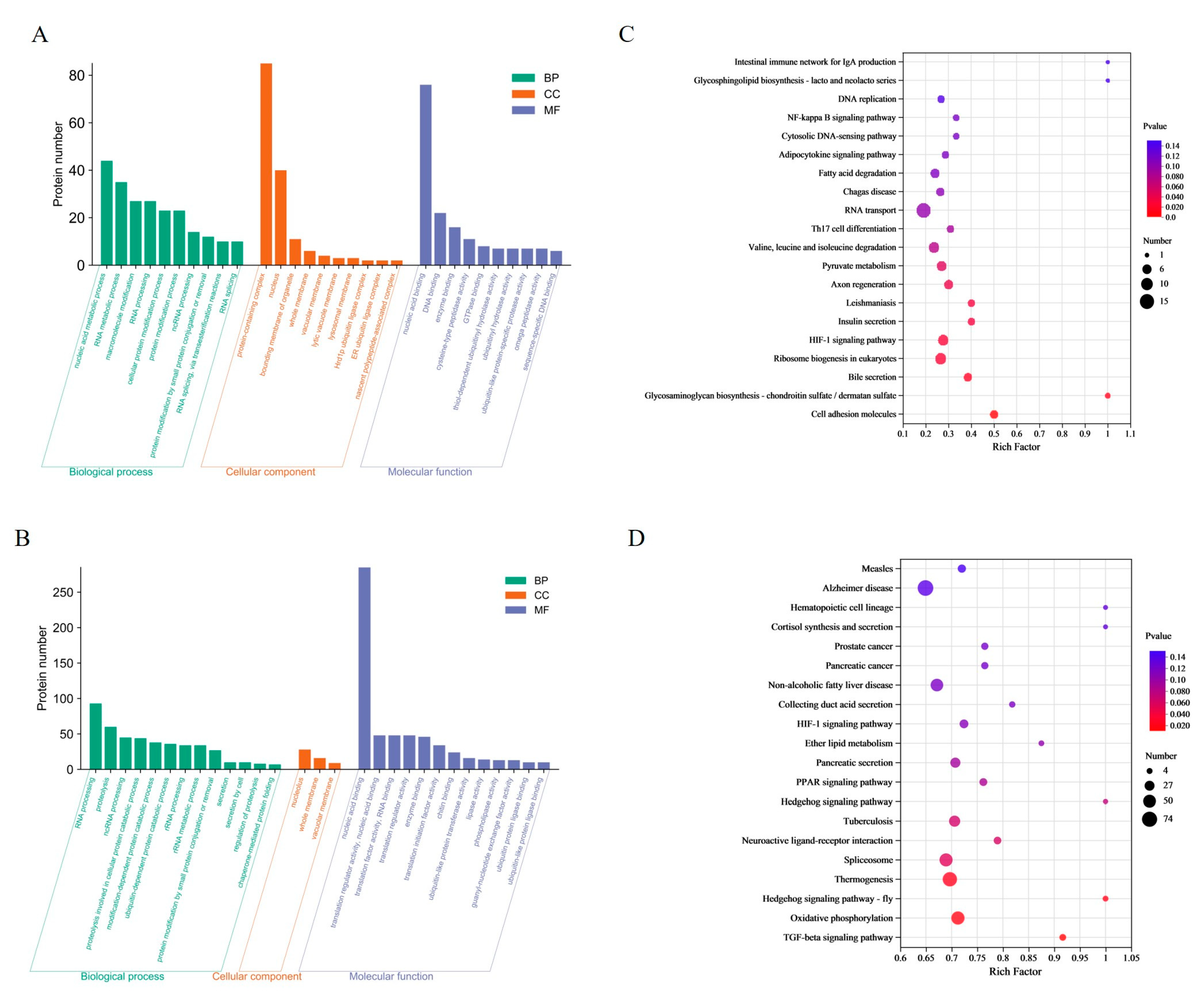 Biology 13 00488 g002