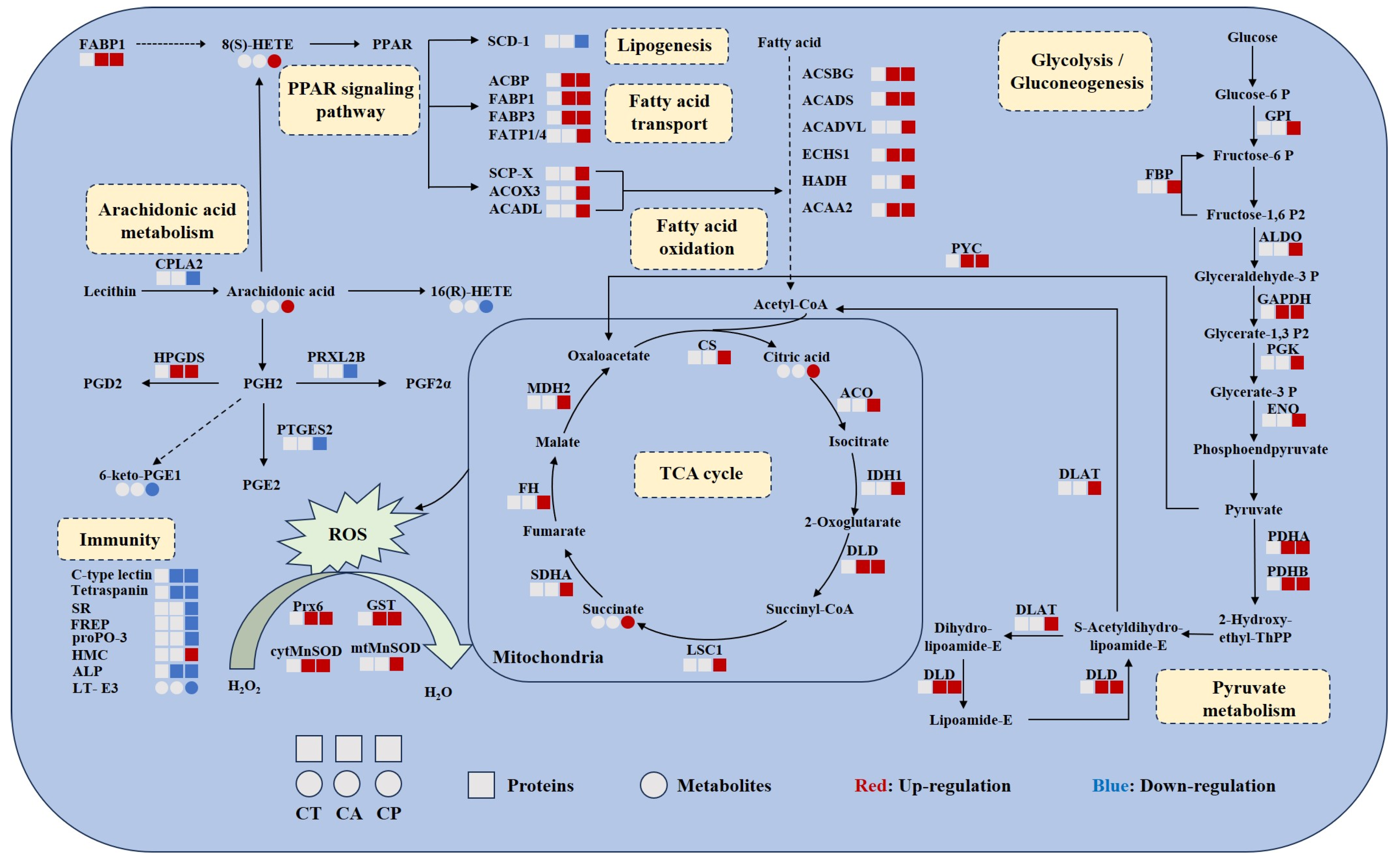 Biology 13 00488 g006