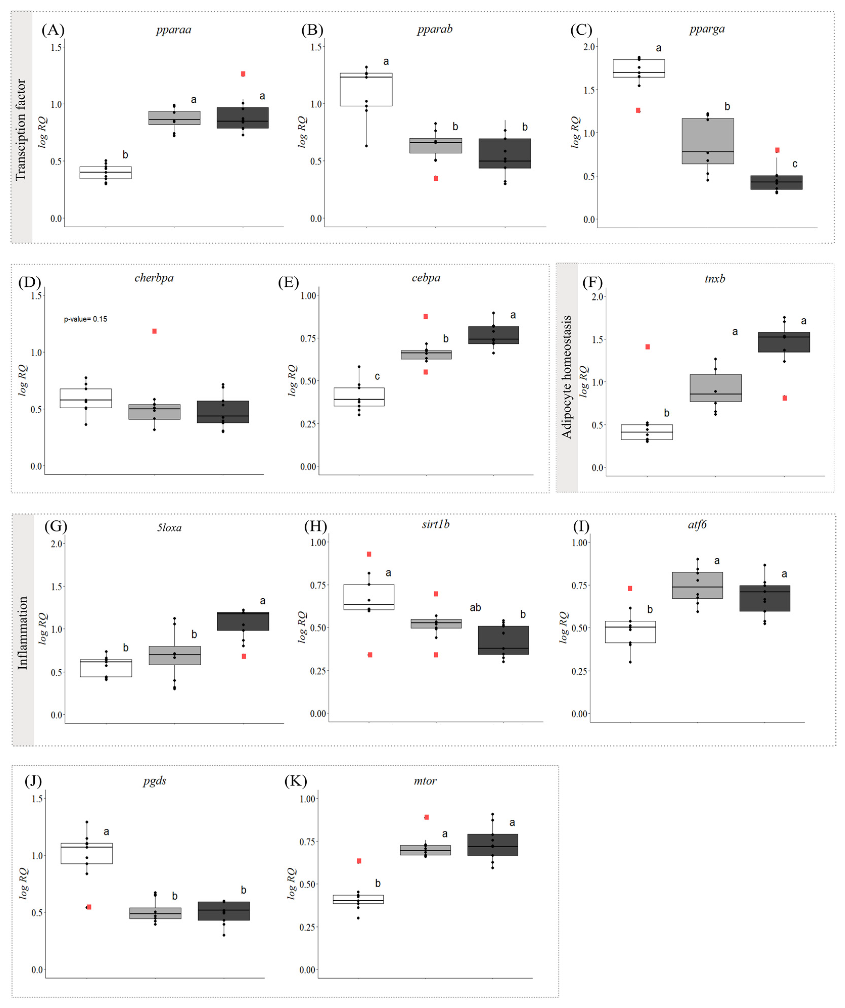 Biology 13 00494 g002